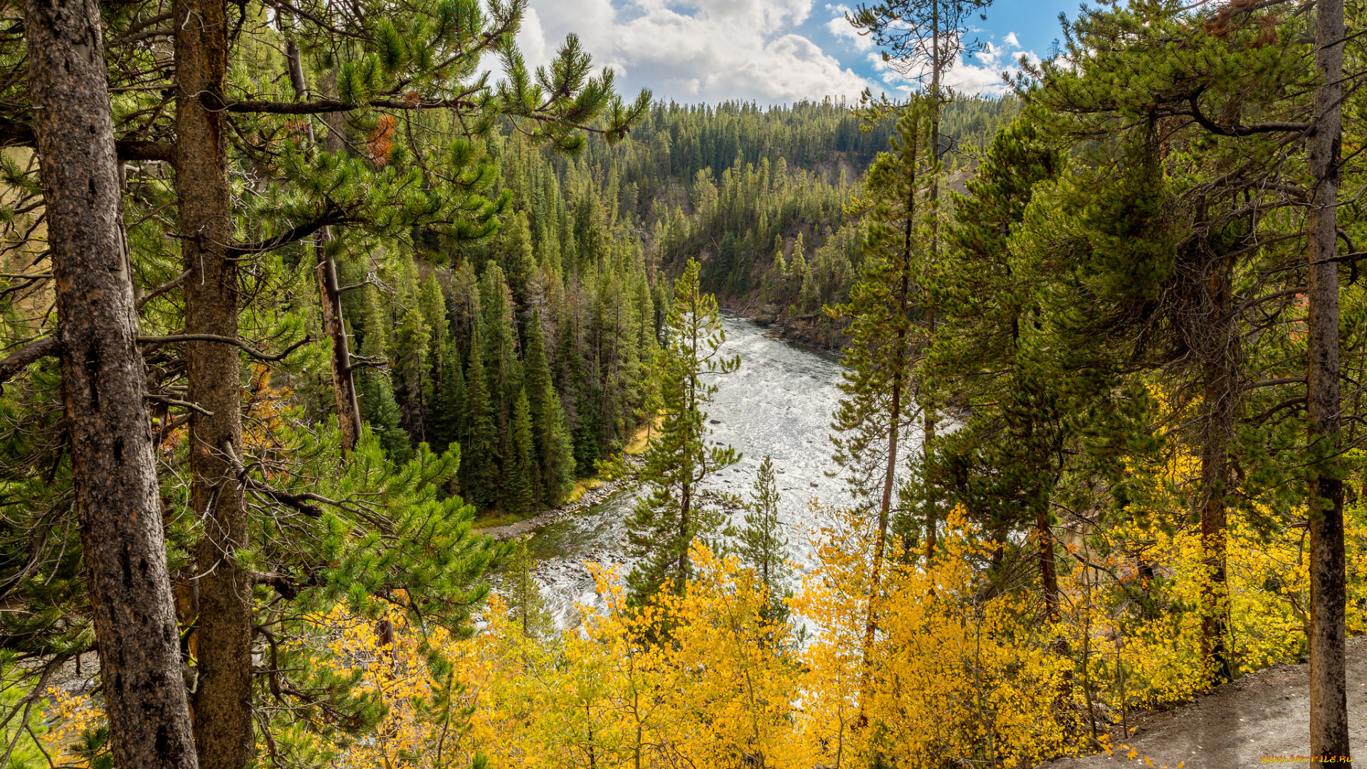 природа, реки, озера, лес, река