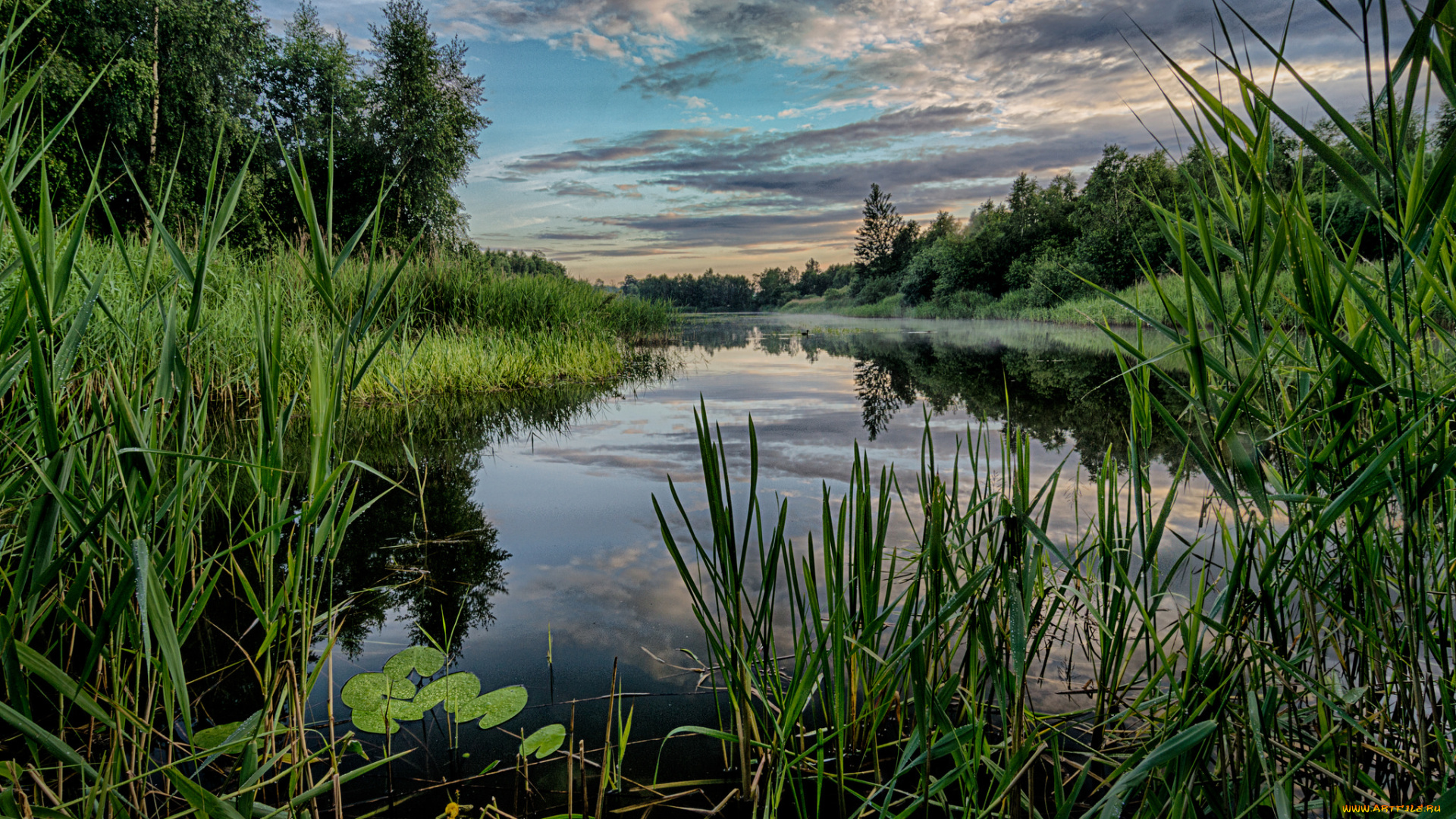 природа, реки, озера, река, лес