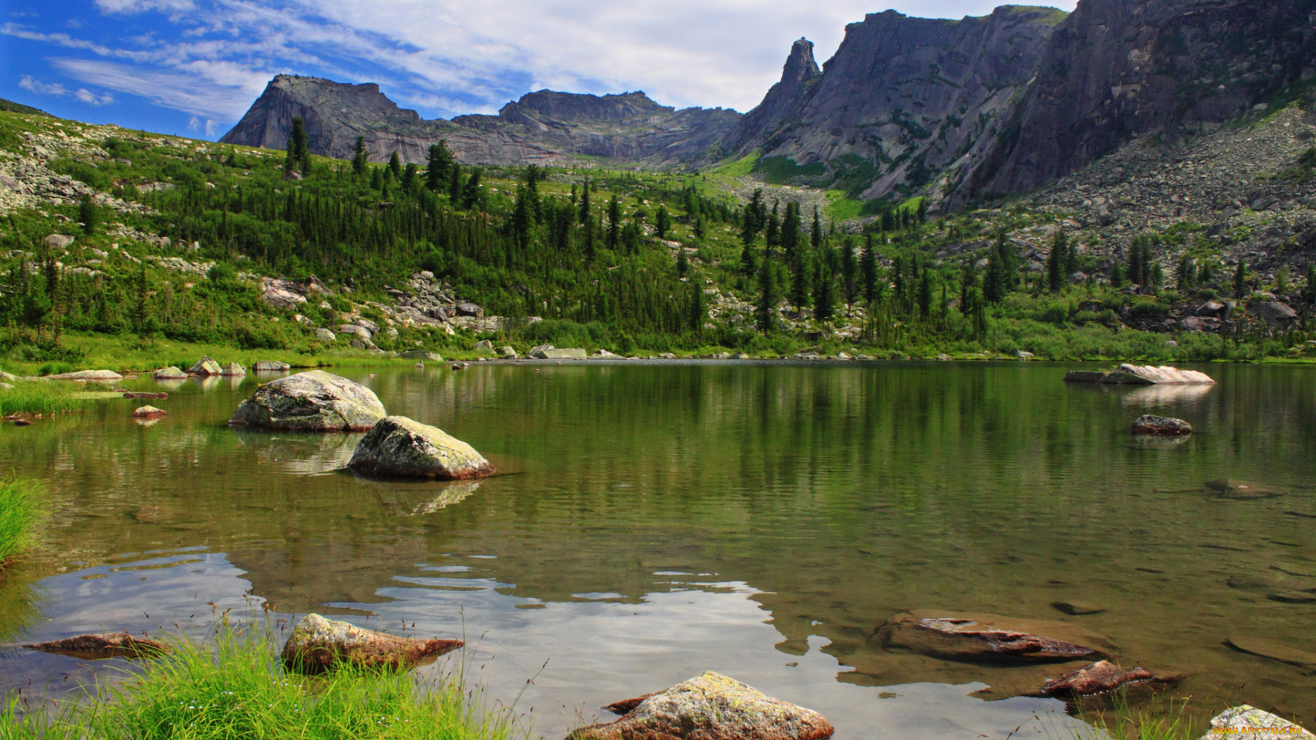 природа, реки, озера, река, лес