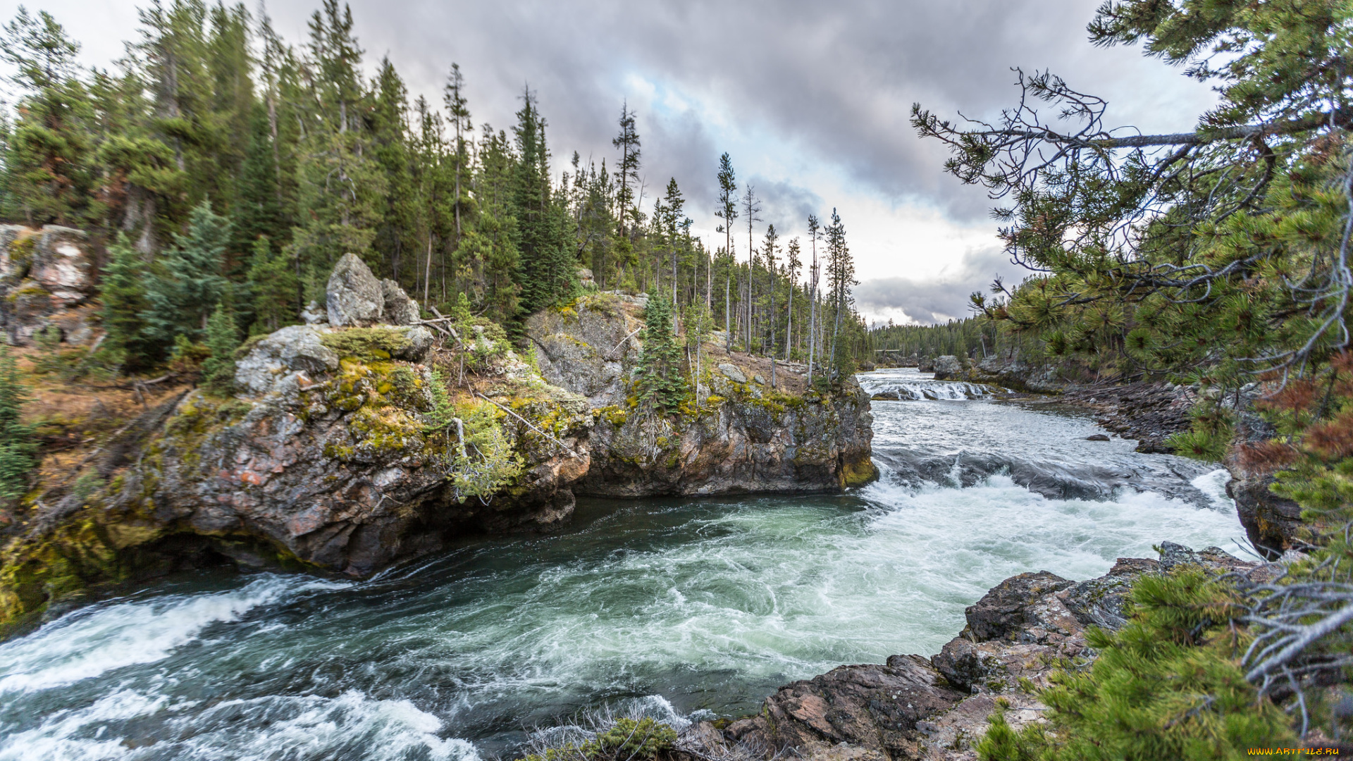 природа, реки, озера, река, лес