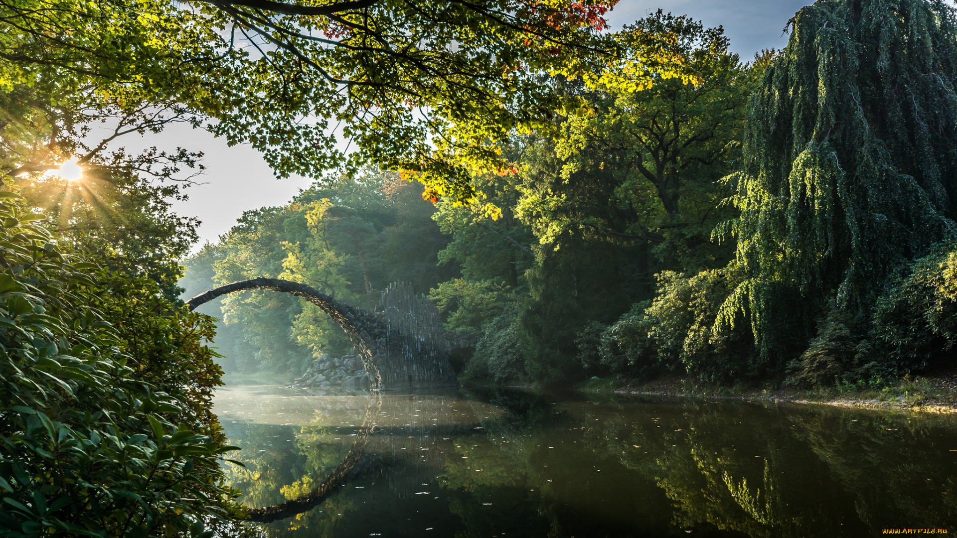природа, реки, озера, река, лес