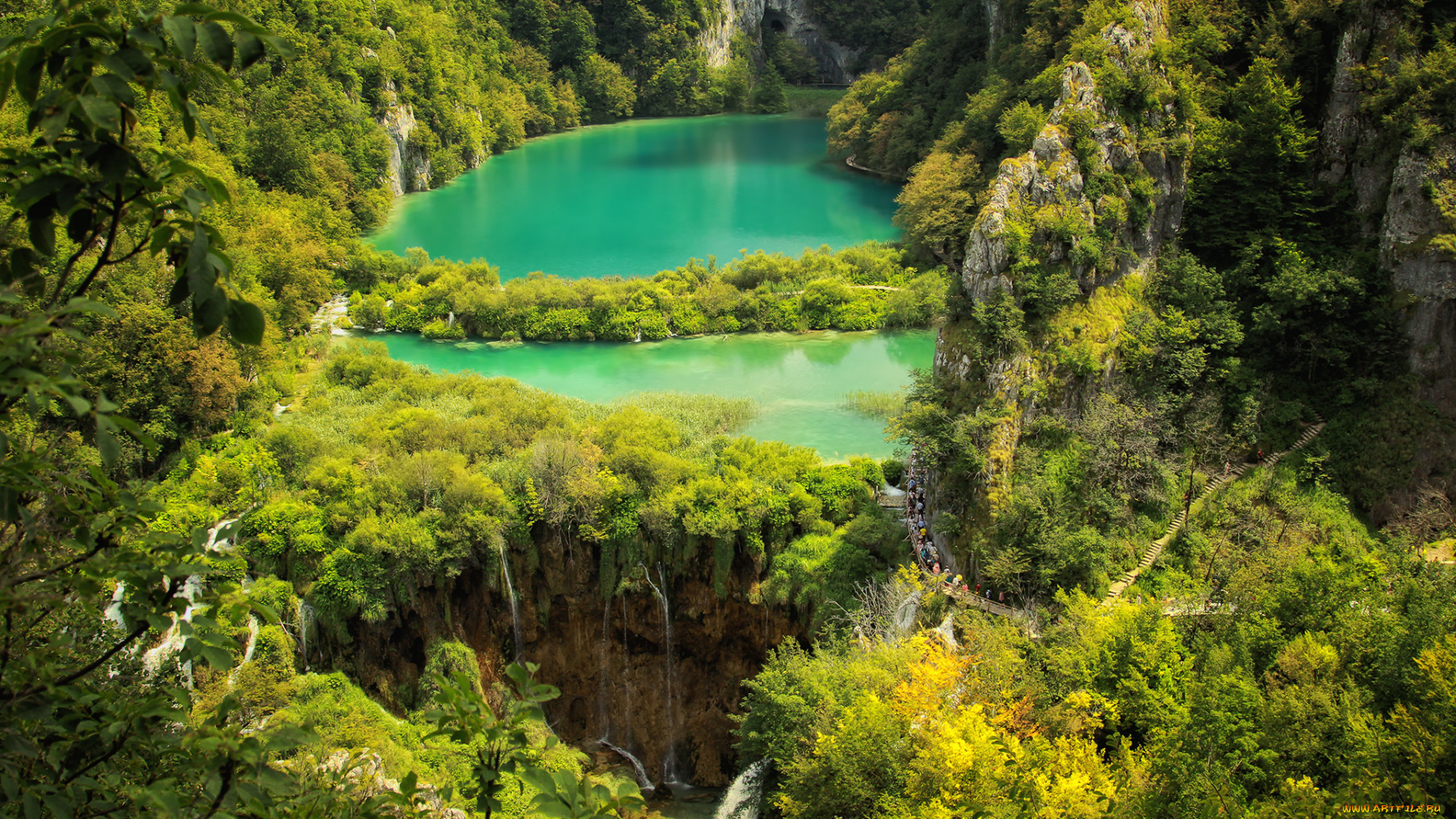 природа, реки, озера, река, лес