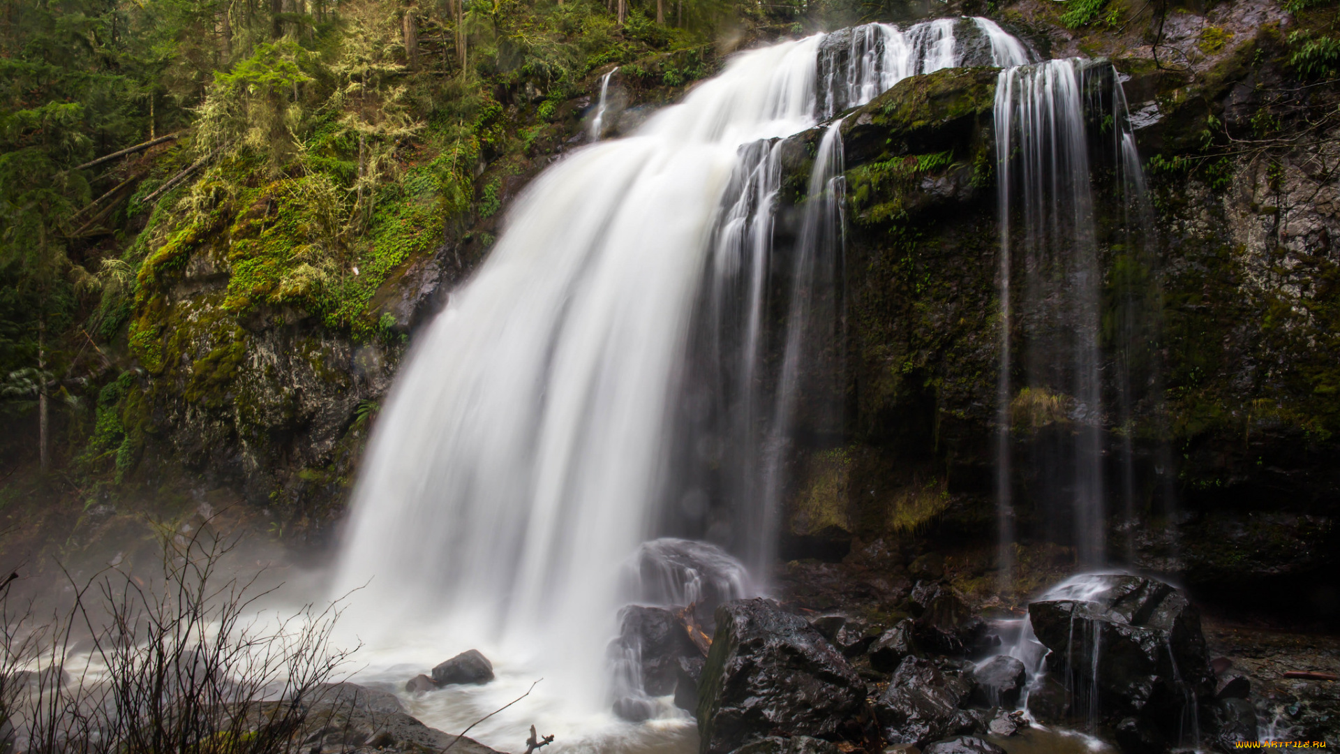 природа, водопады, лес, водопад, река