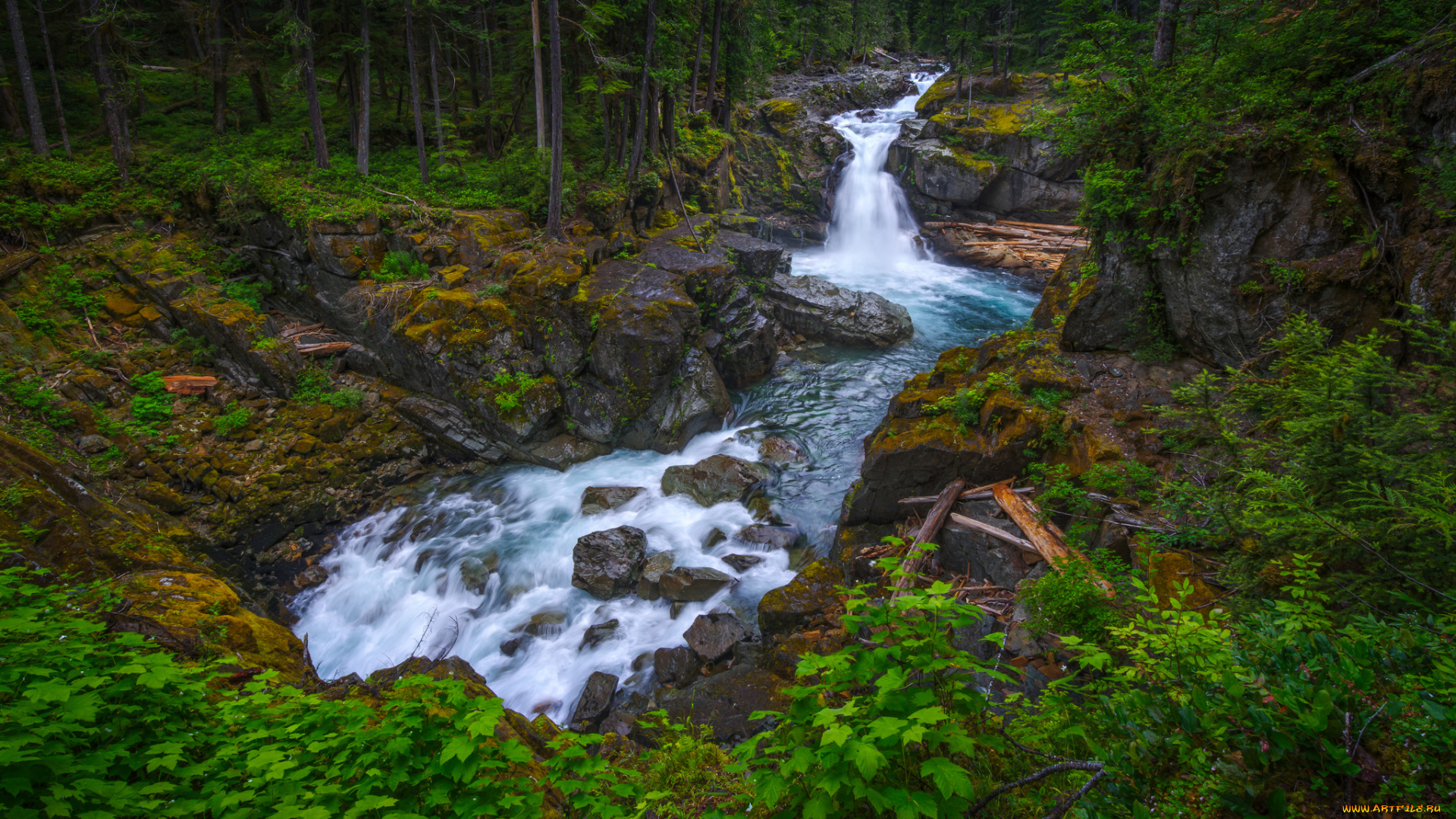 природа, водопады, река, лес, водопад