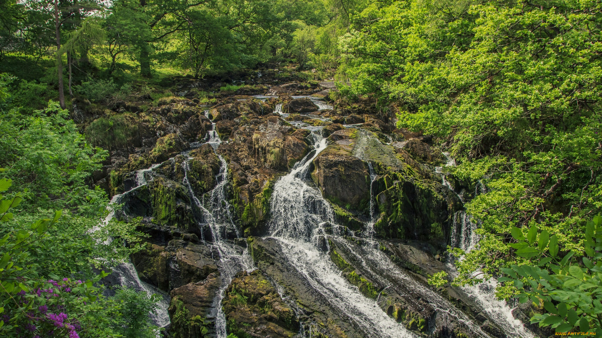 природа, водопады, водопад, река, лес