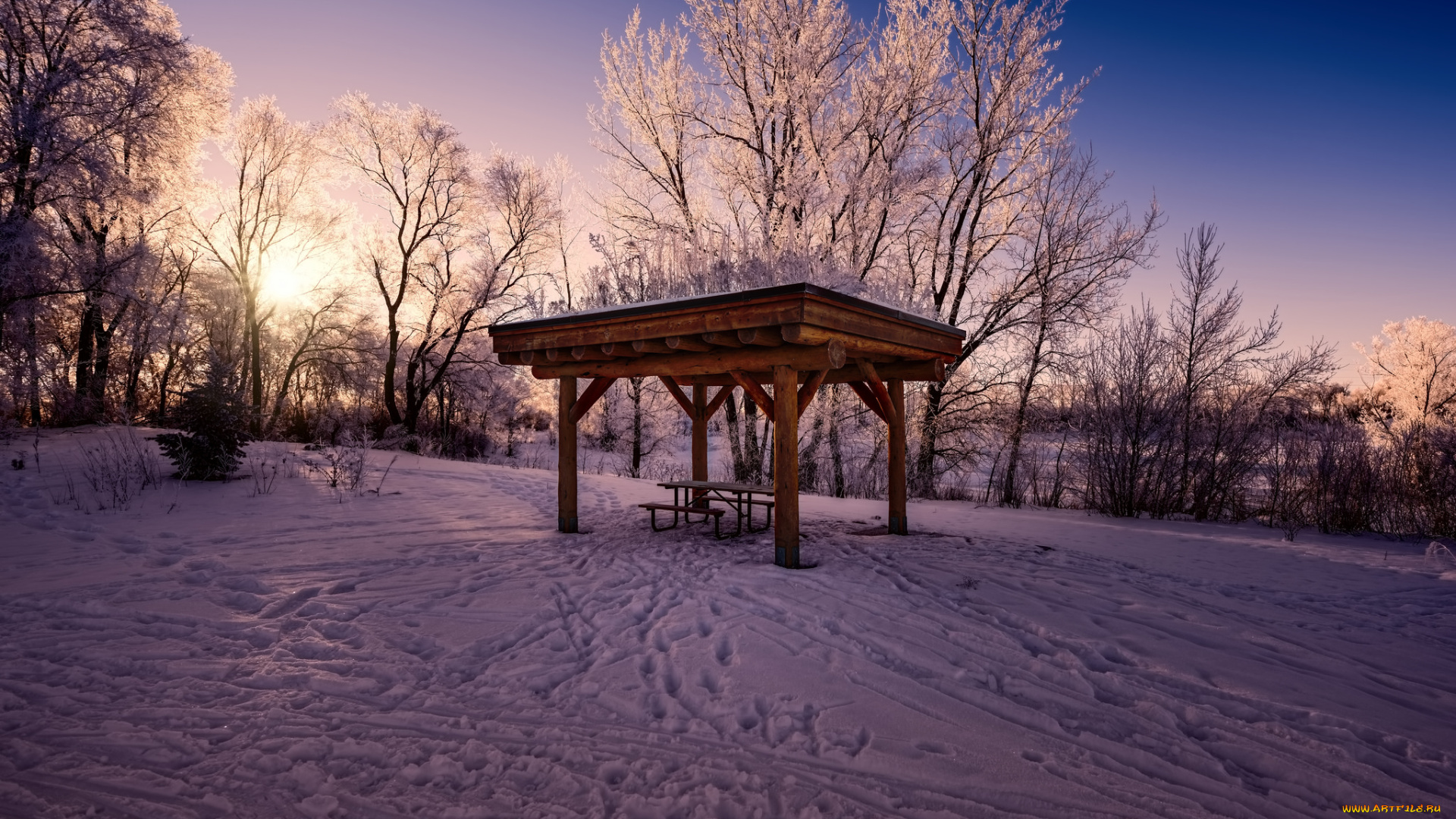 природа, зима, снег