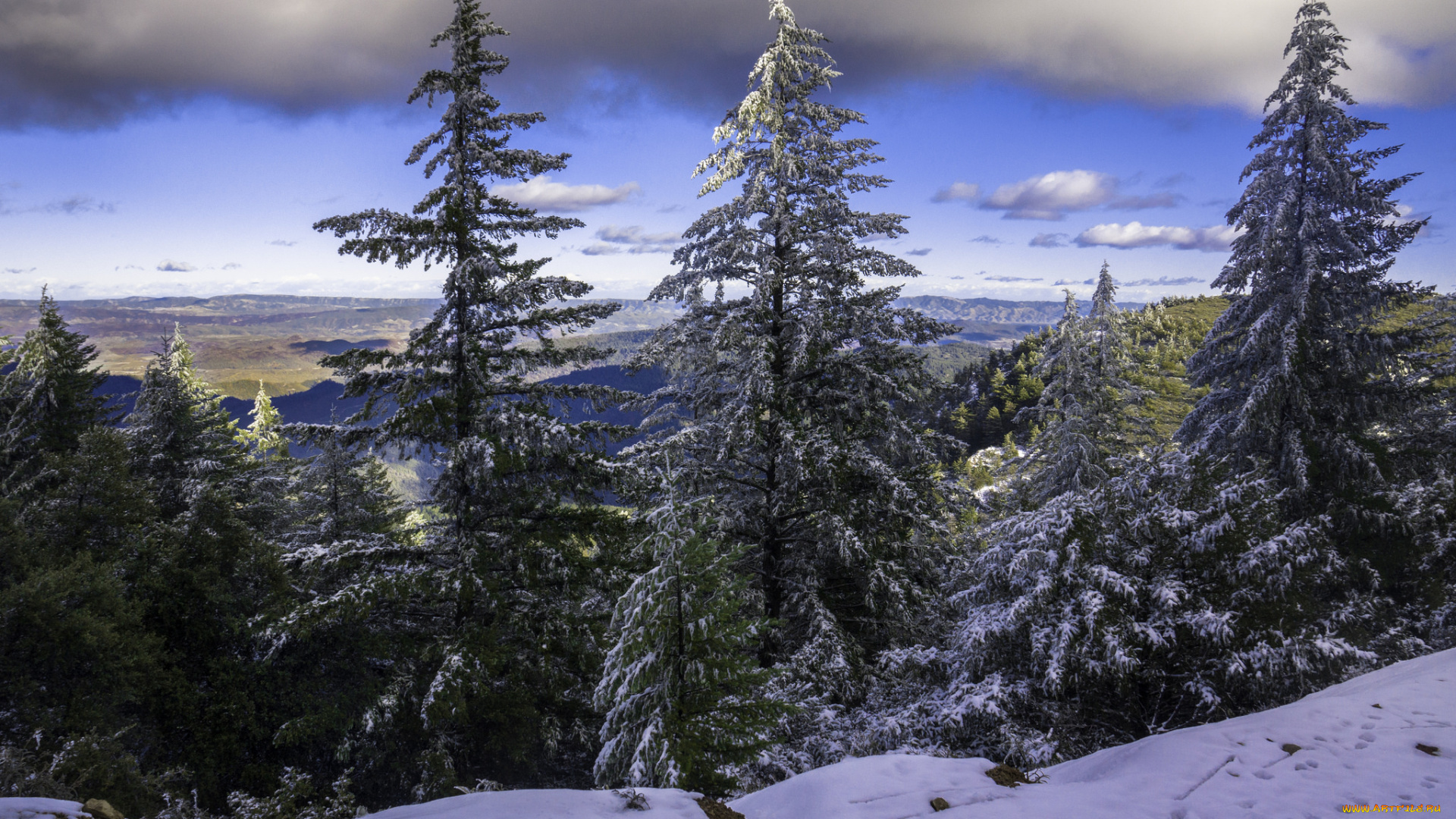 природа, зима, снег