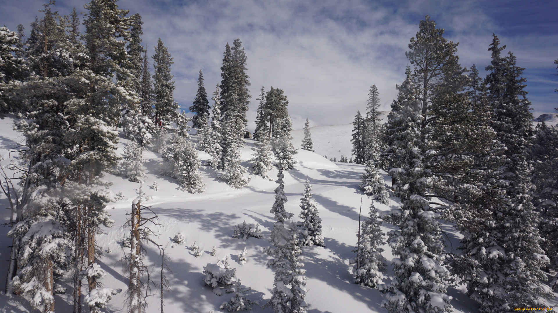 природа, зима, снег