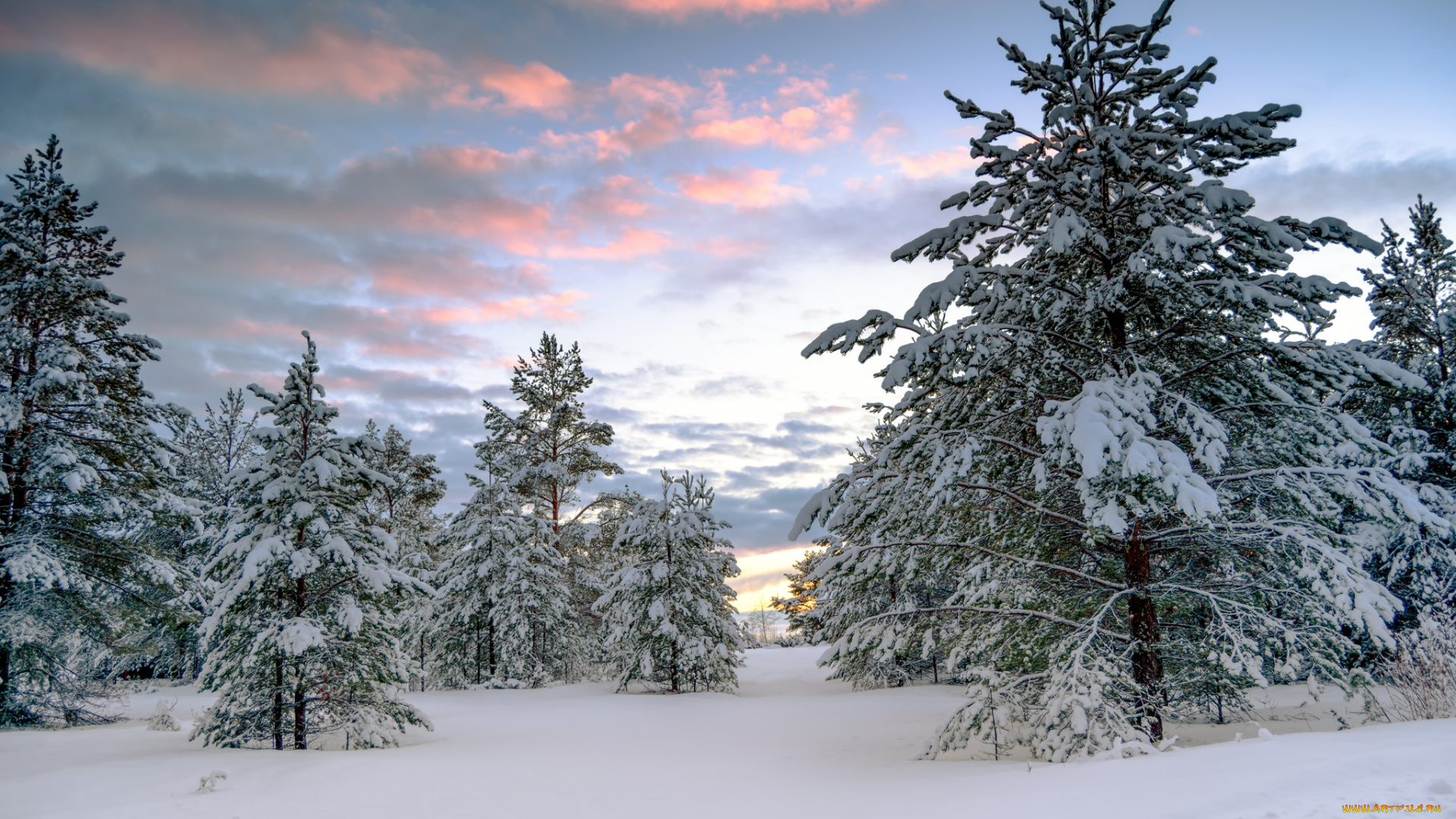 природа, зима, снег