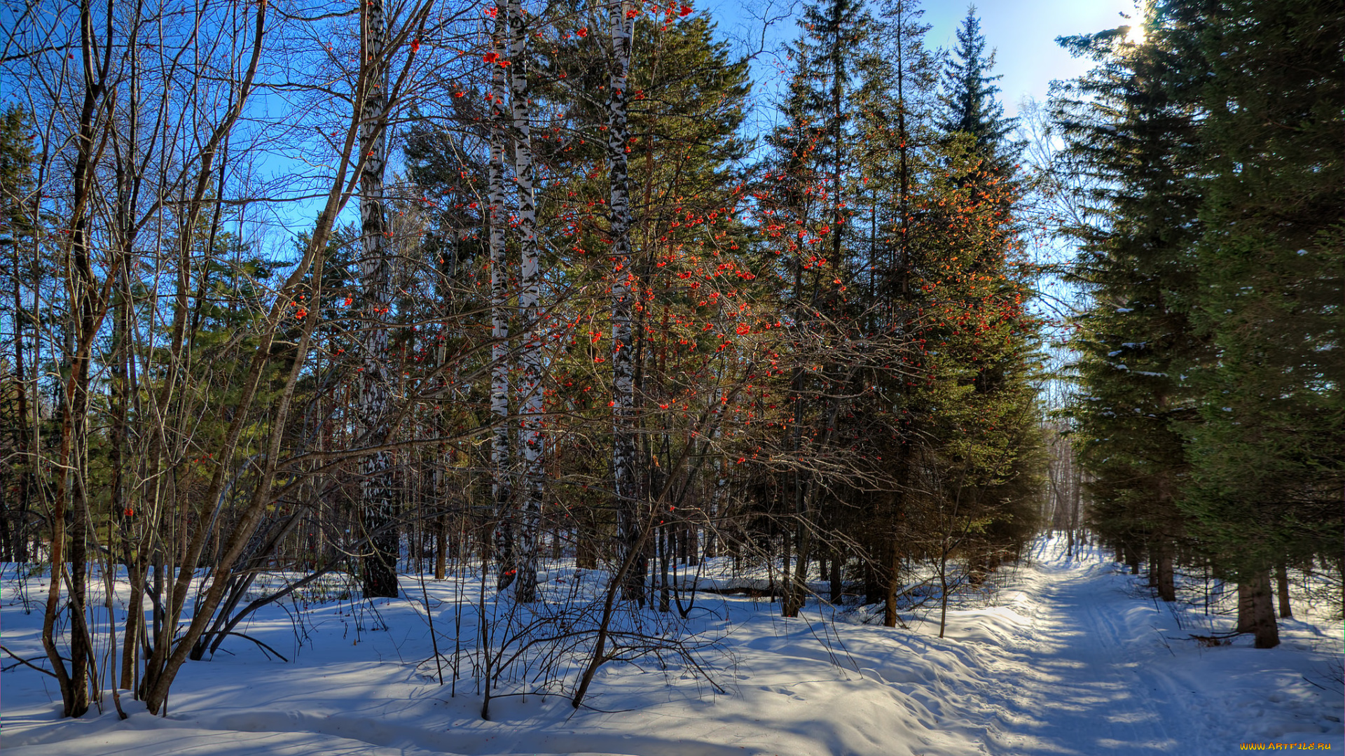 природа, зима, снег