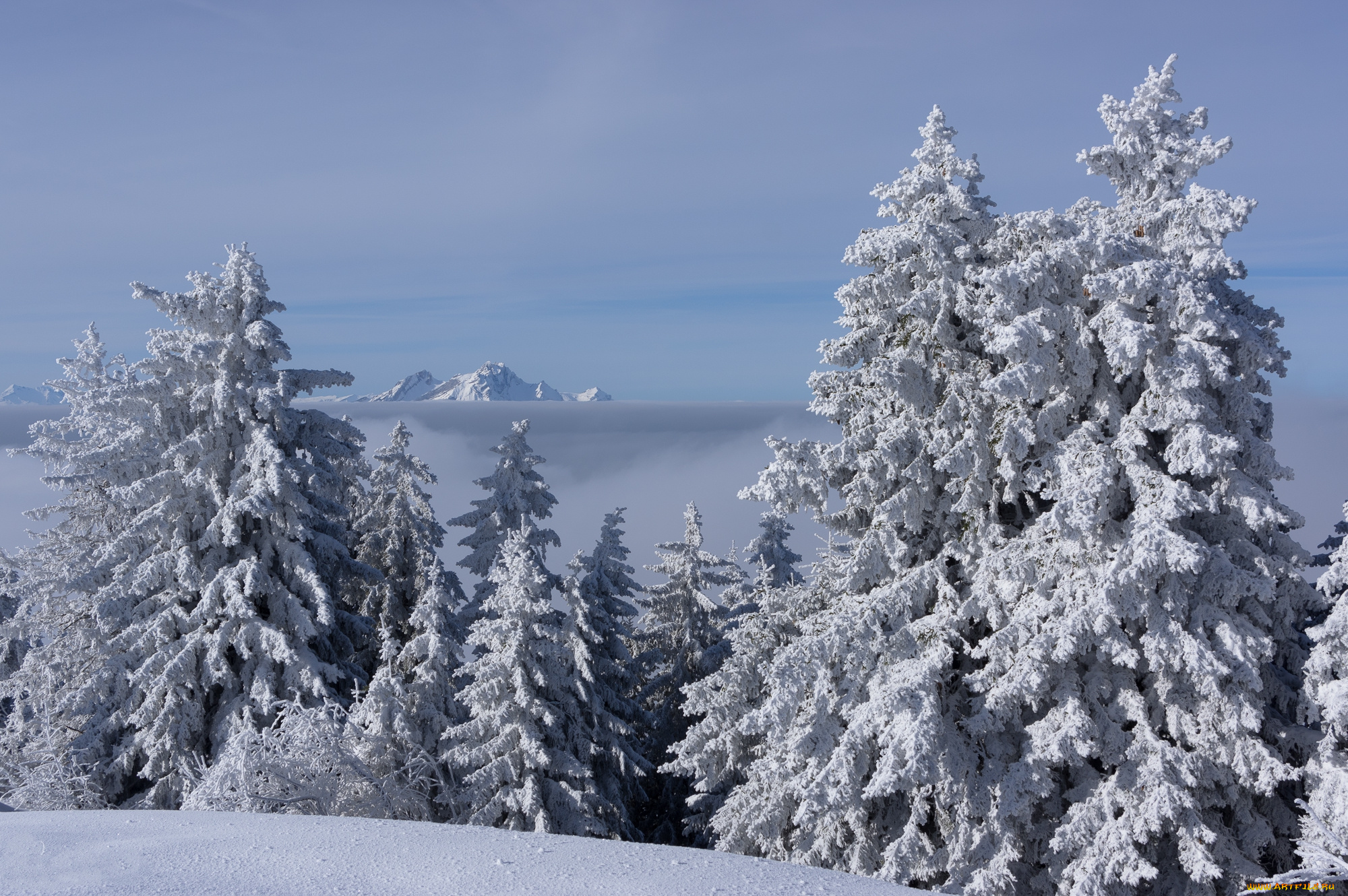 природа, зима, снег