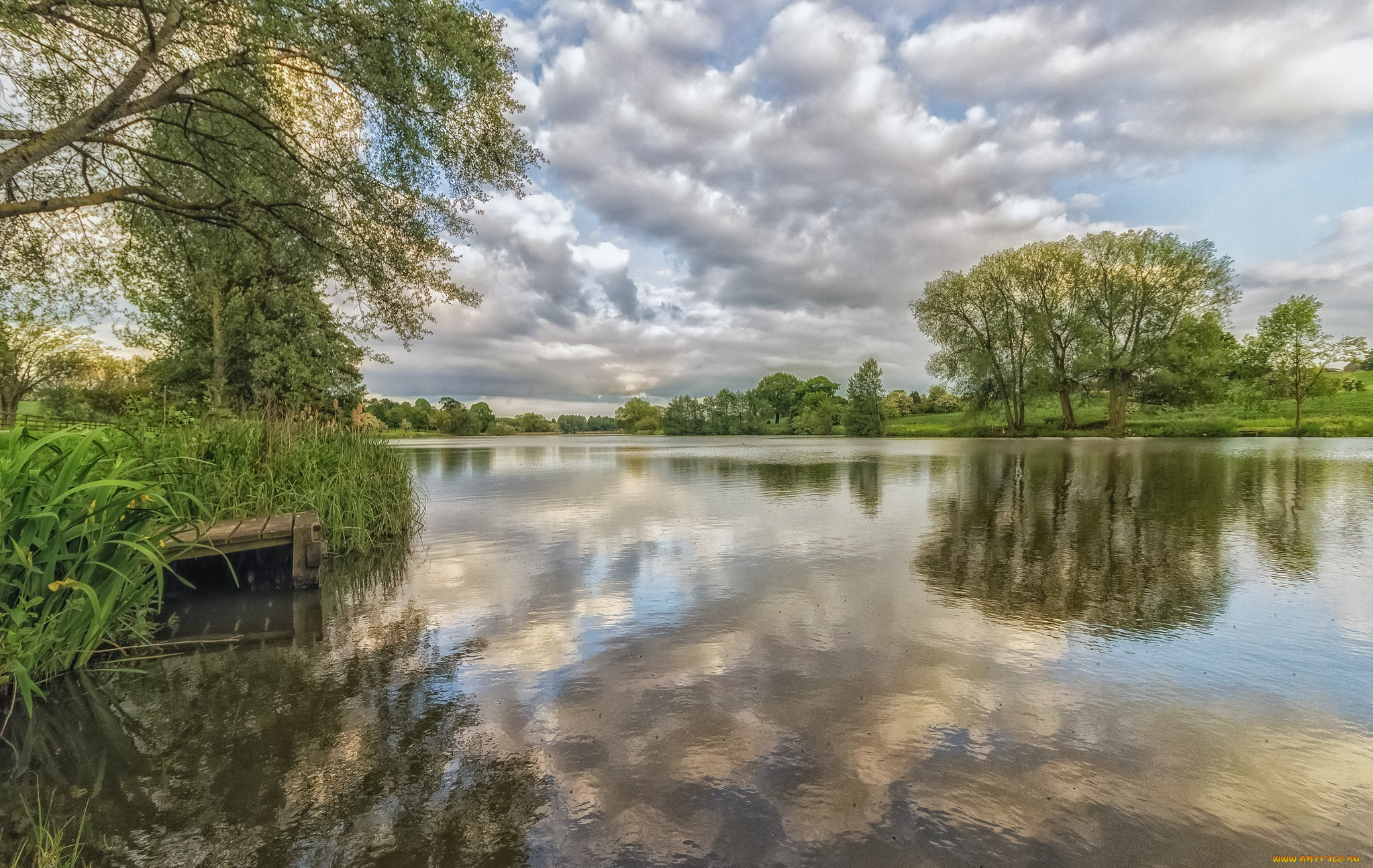 природа, реки, озера, лес, река