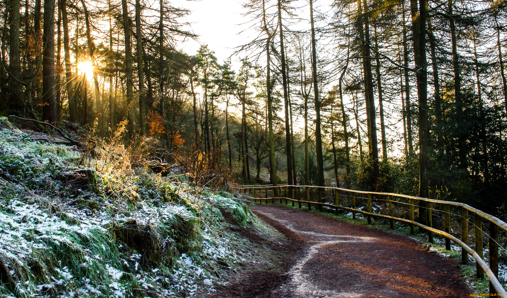 природа, дороги, тракт