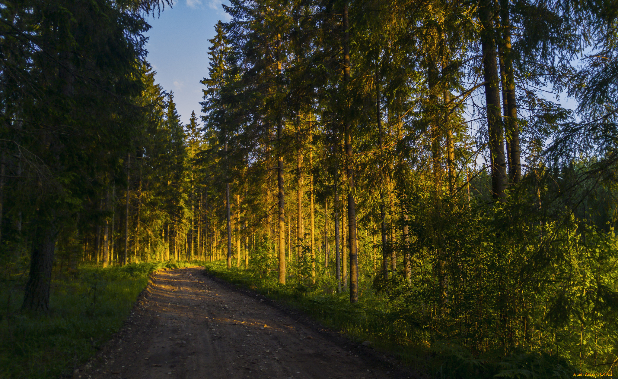 природа, дороги, тракт