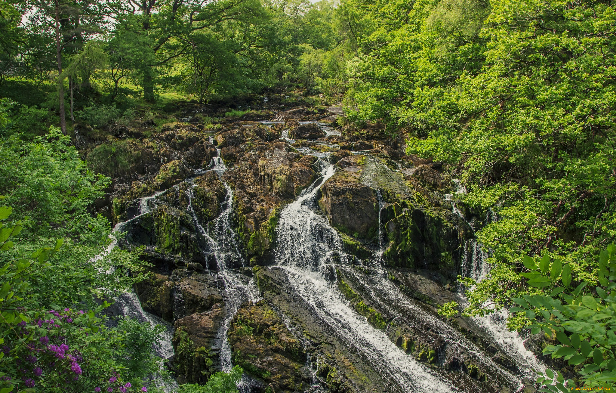 природа, водопады, водопад, река, лес