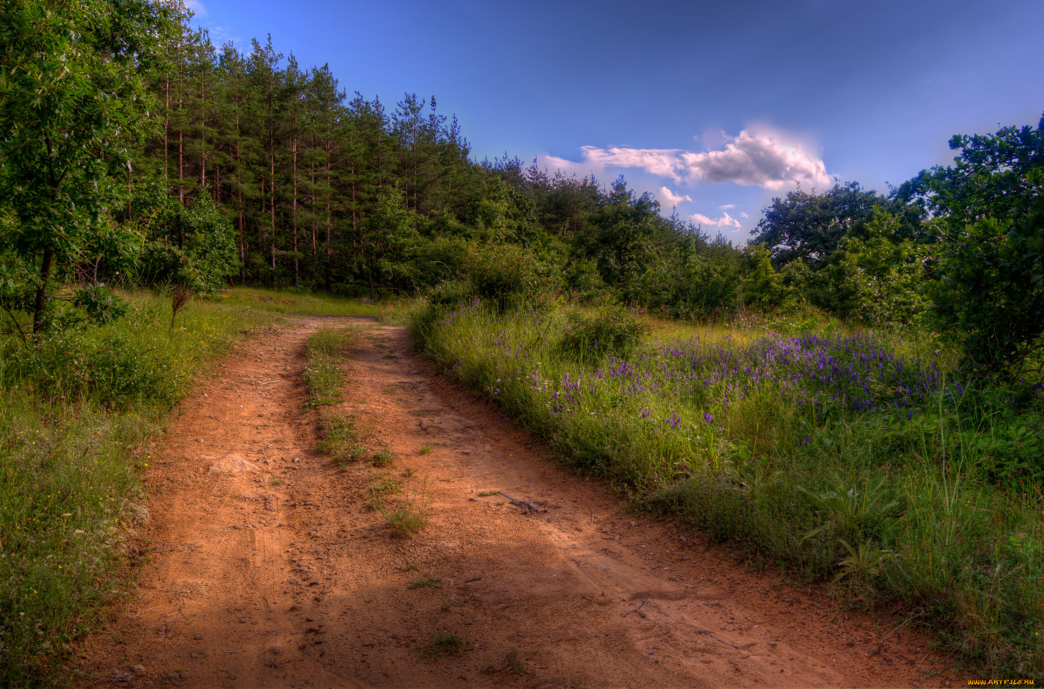 природа, дороги, тракт