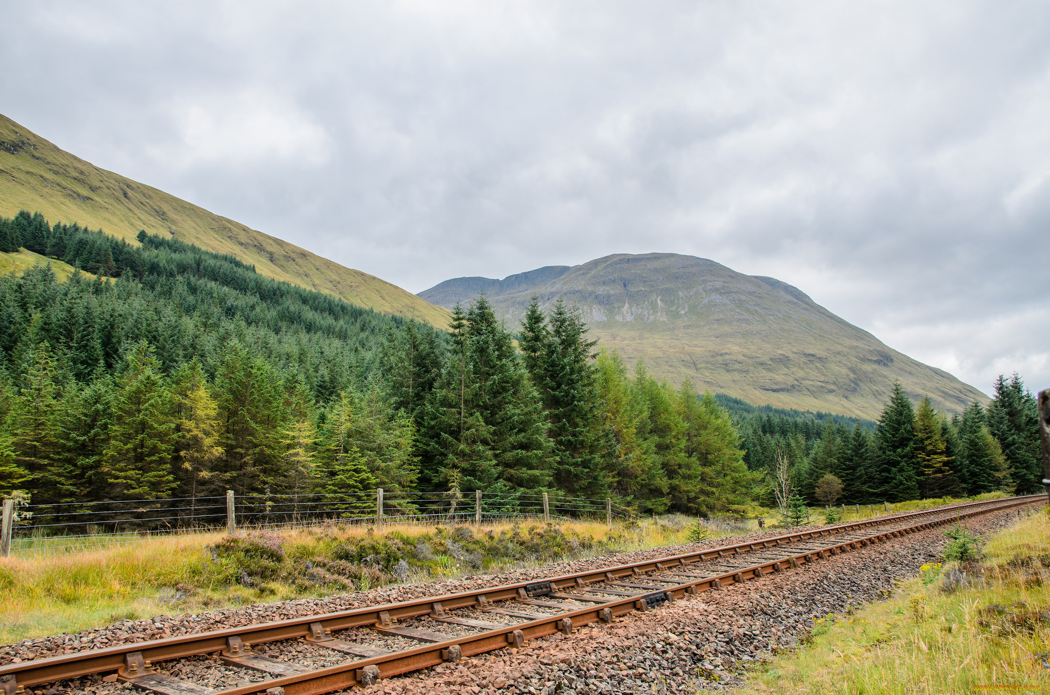 природа, дороги, тракт