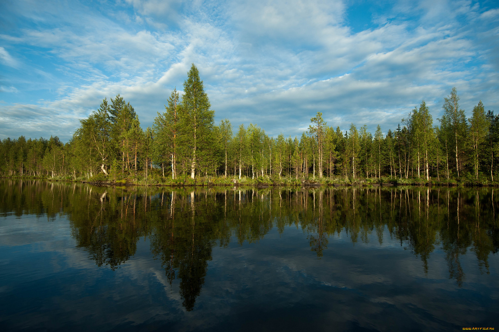 природа, реки, озера, лес, река