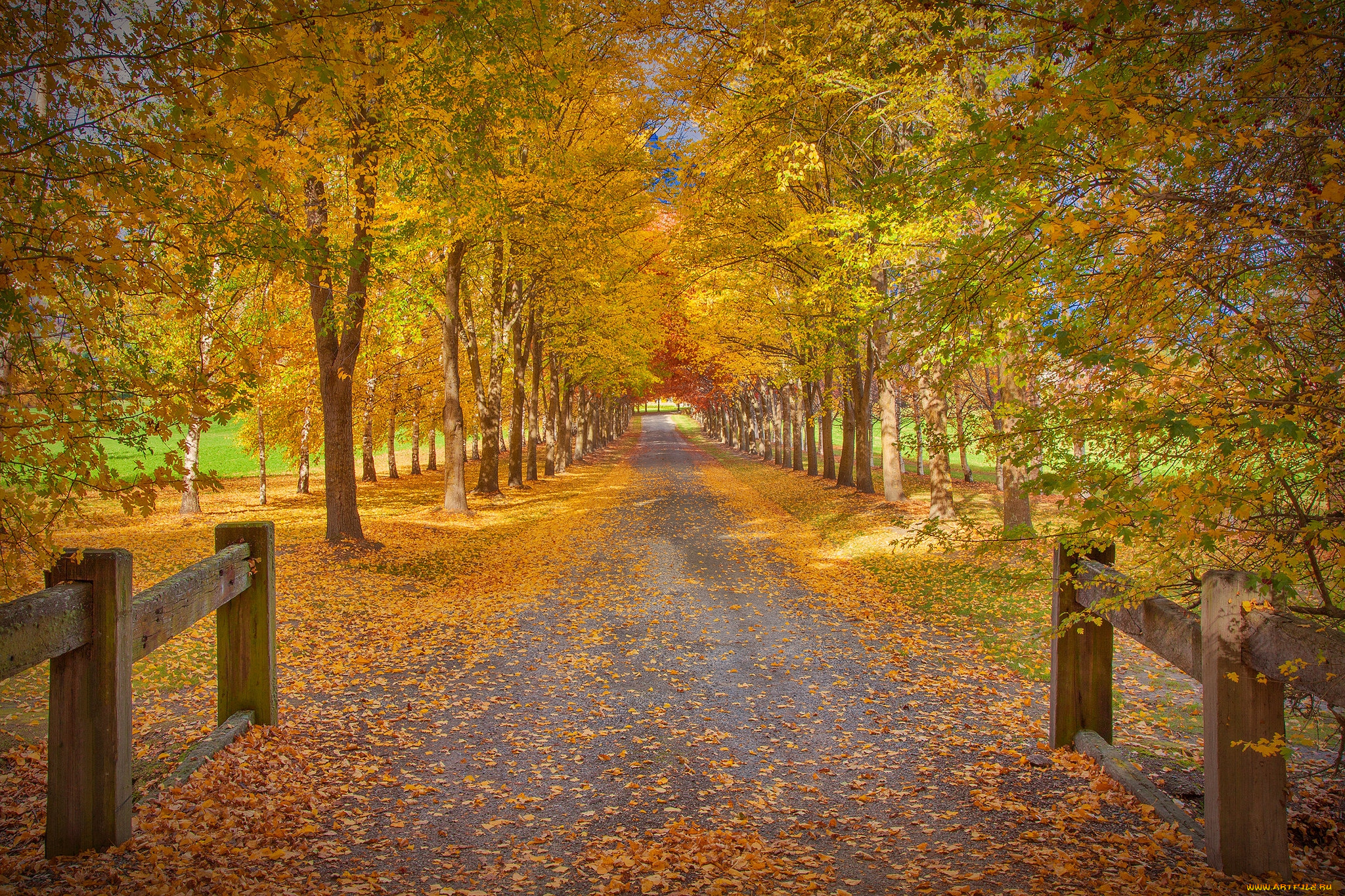 природа, дороги, тракт