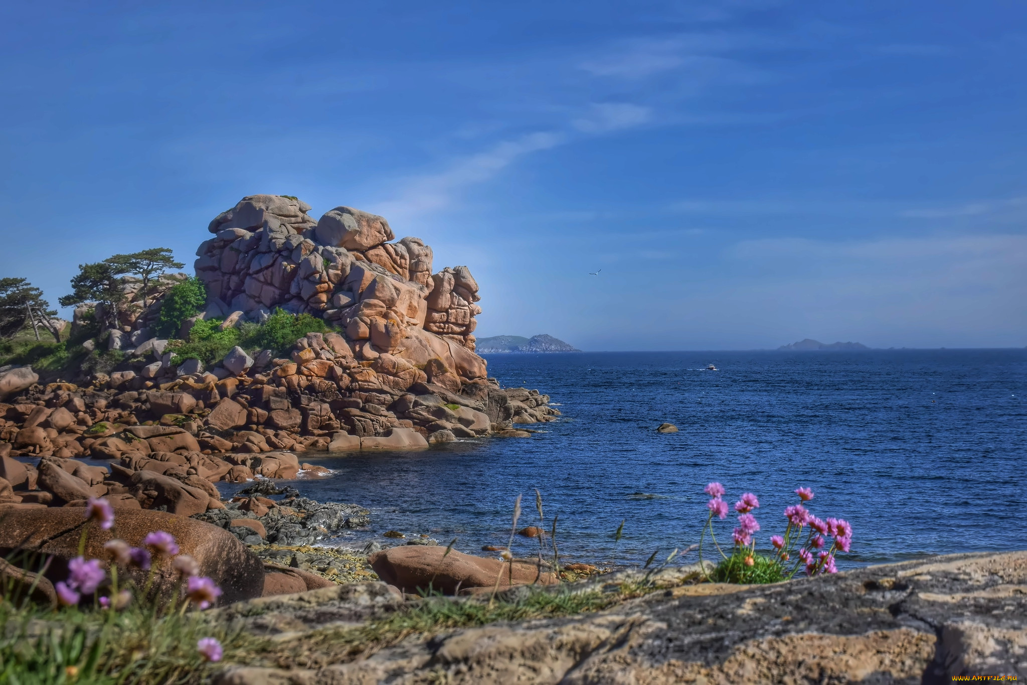 природа, побережье, берег, море