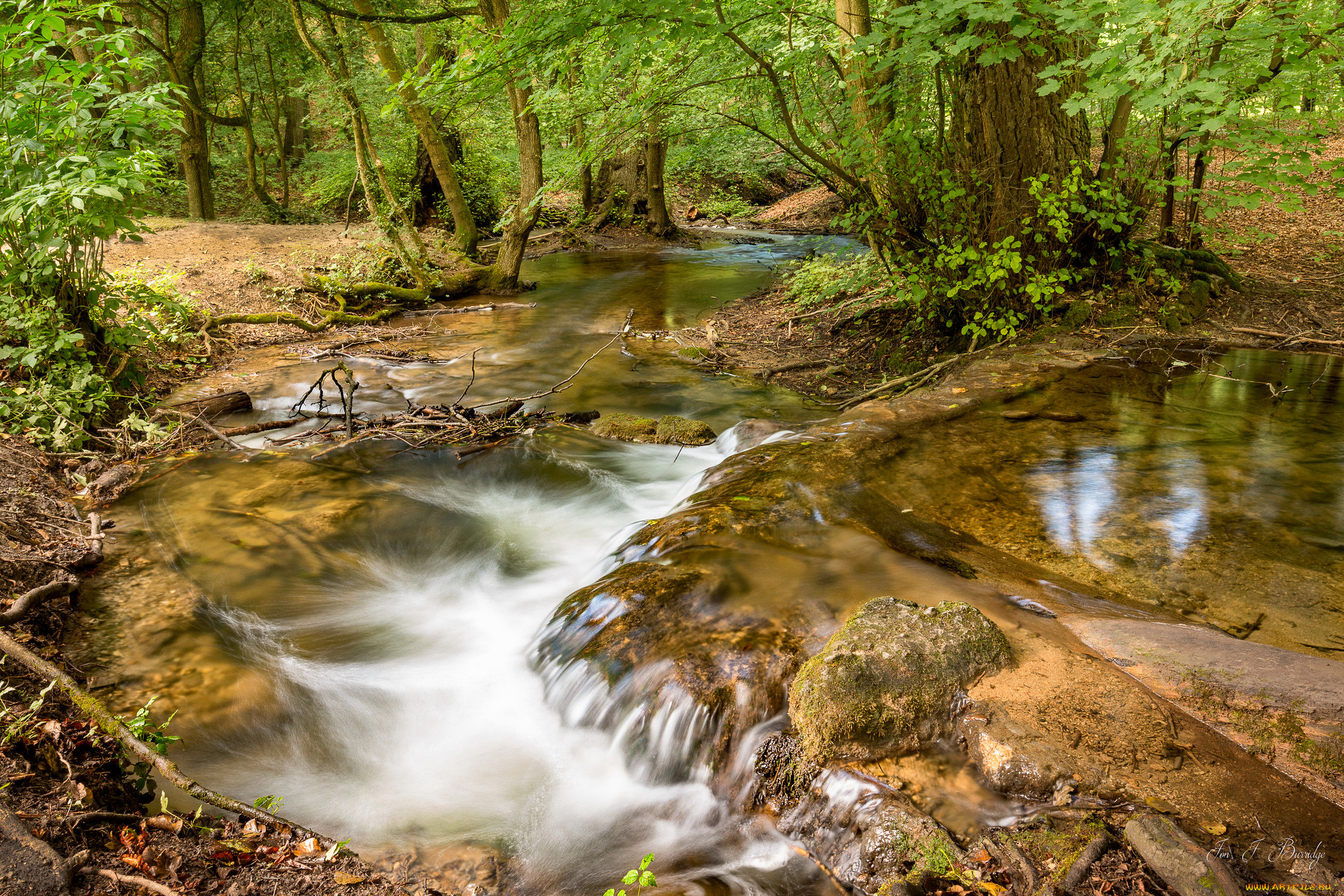 природа, реки, озера, река, лес