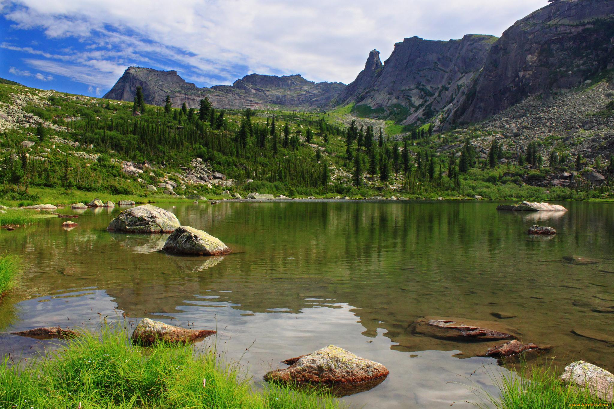 природа, реки, озера, река, лес