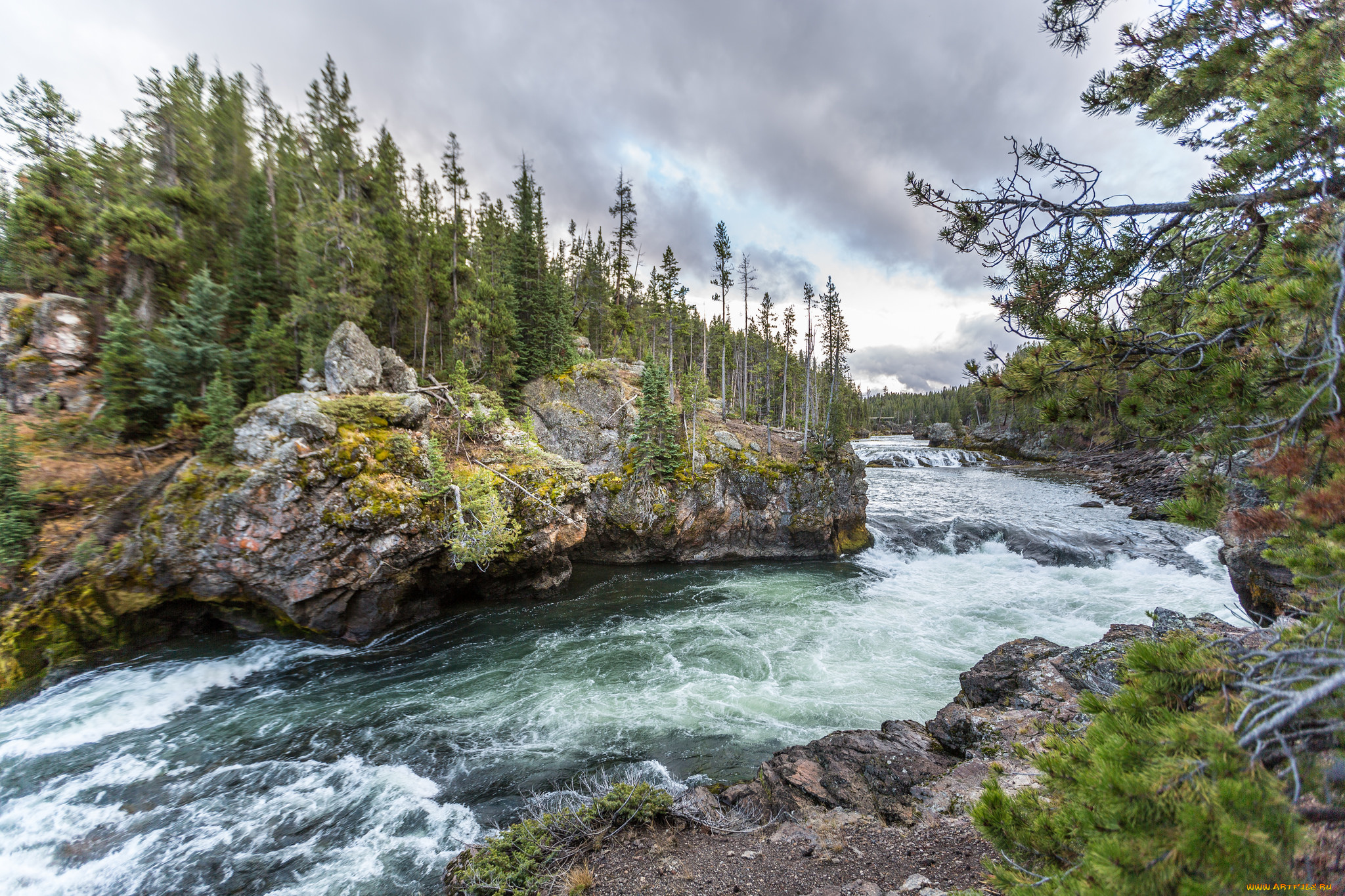 природа, реки, озера, река, лес