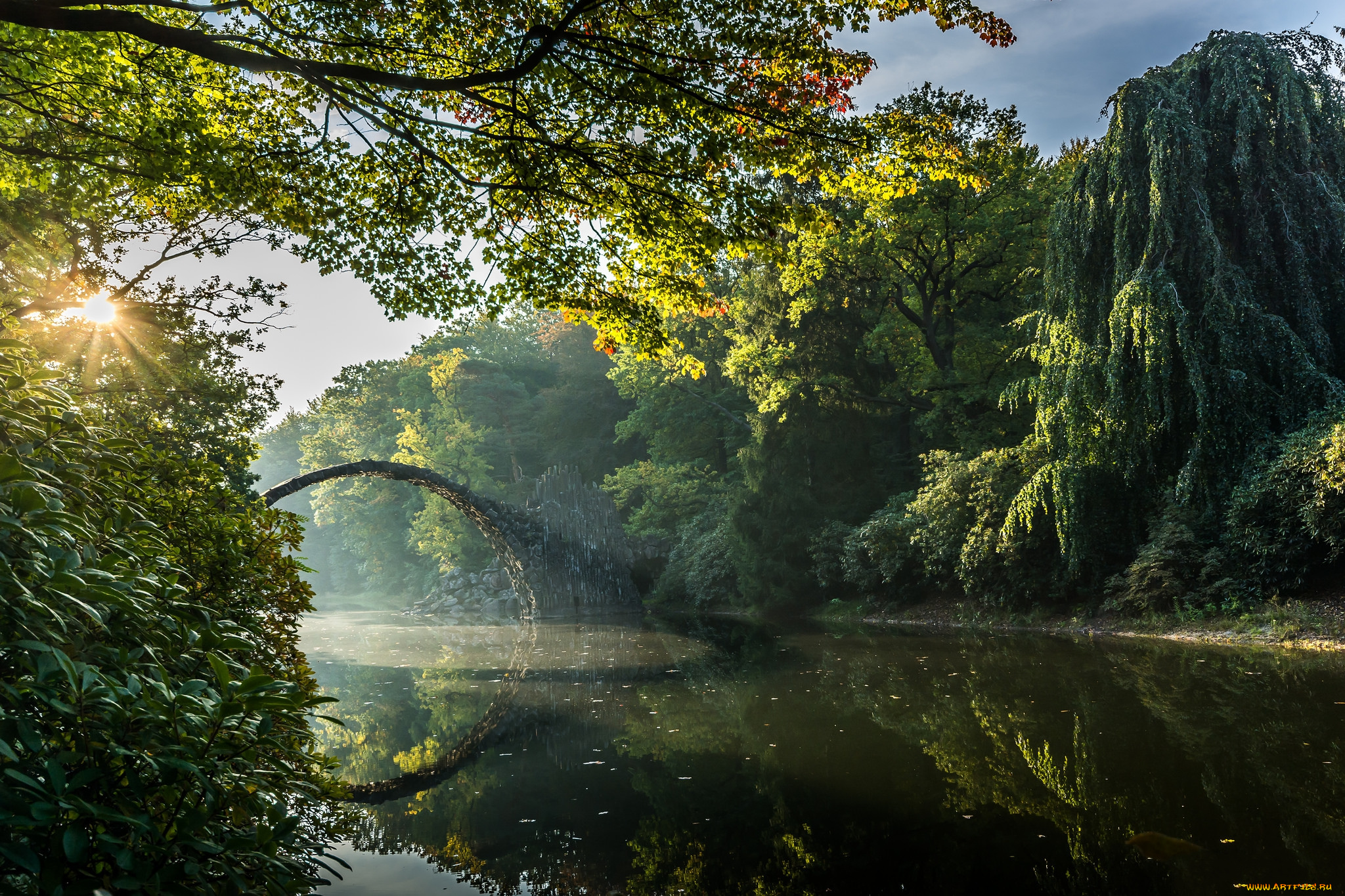природа, реки, озера, река, лес