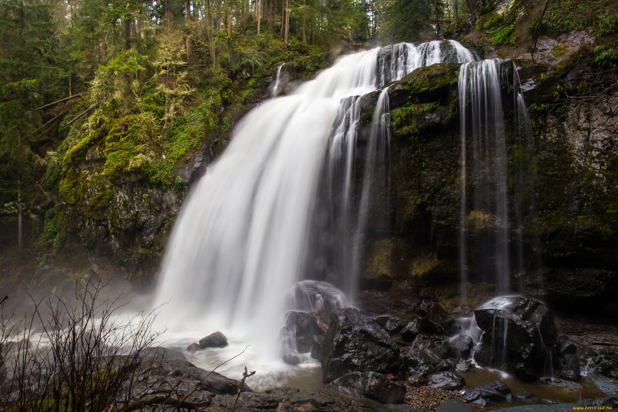природа, водопады, лес, водопад, река
