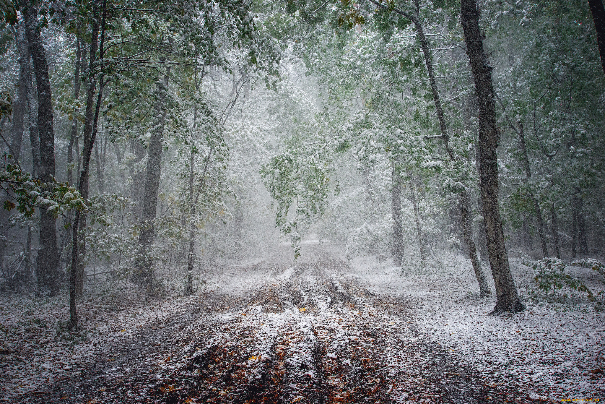 природа, дороги, тракт
