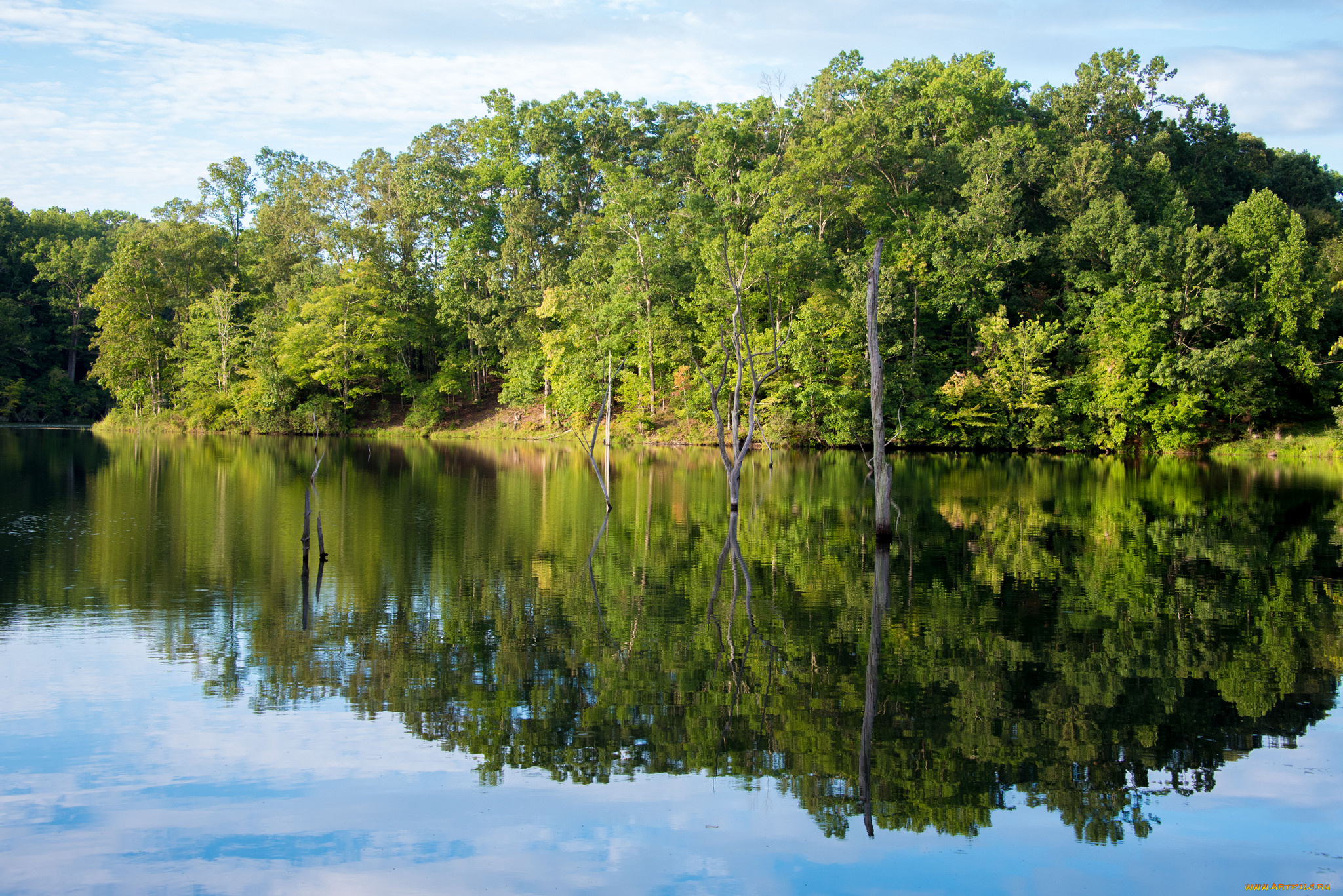 природа, реки, озера, река, лес