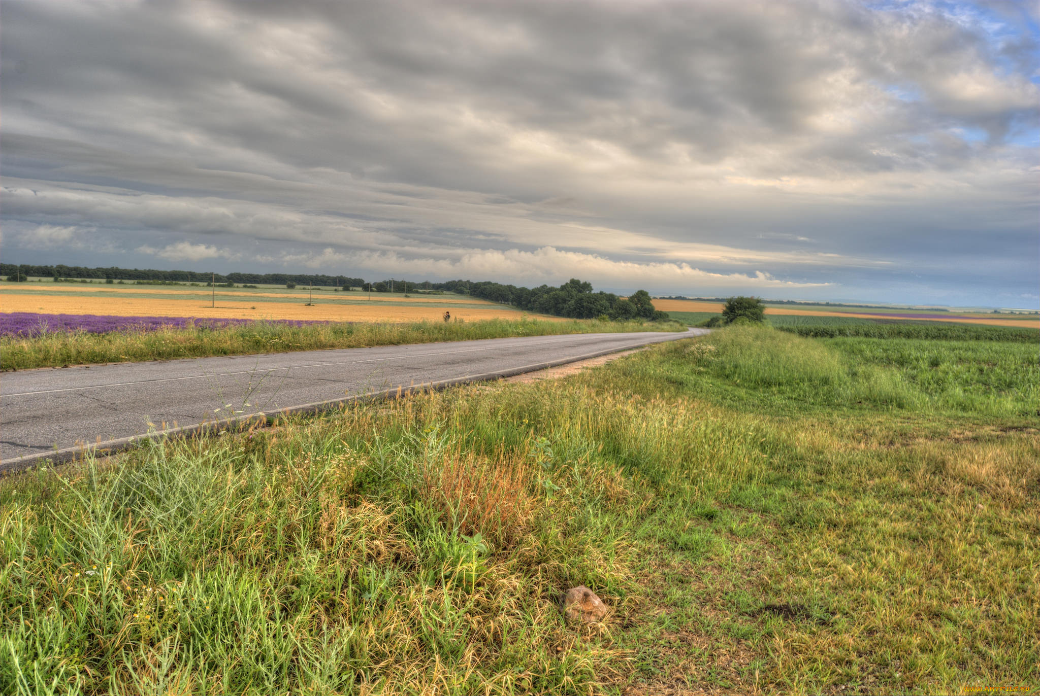 природа, дороги, тракт