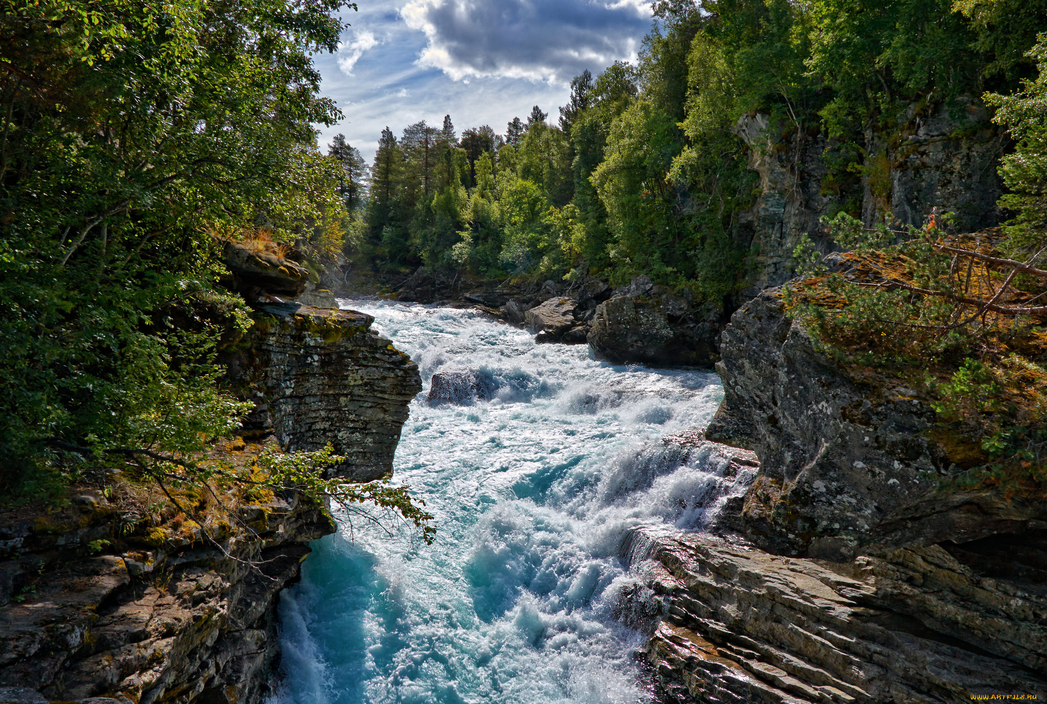 природа, реки, озера, река, лес