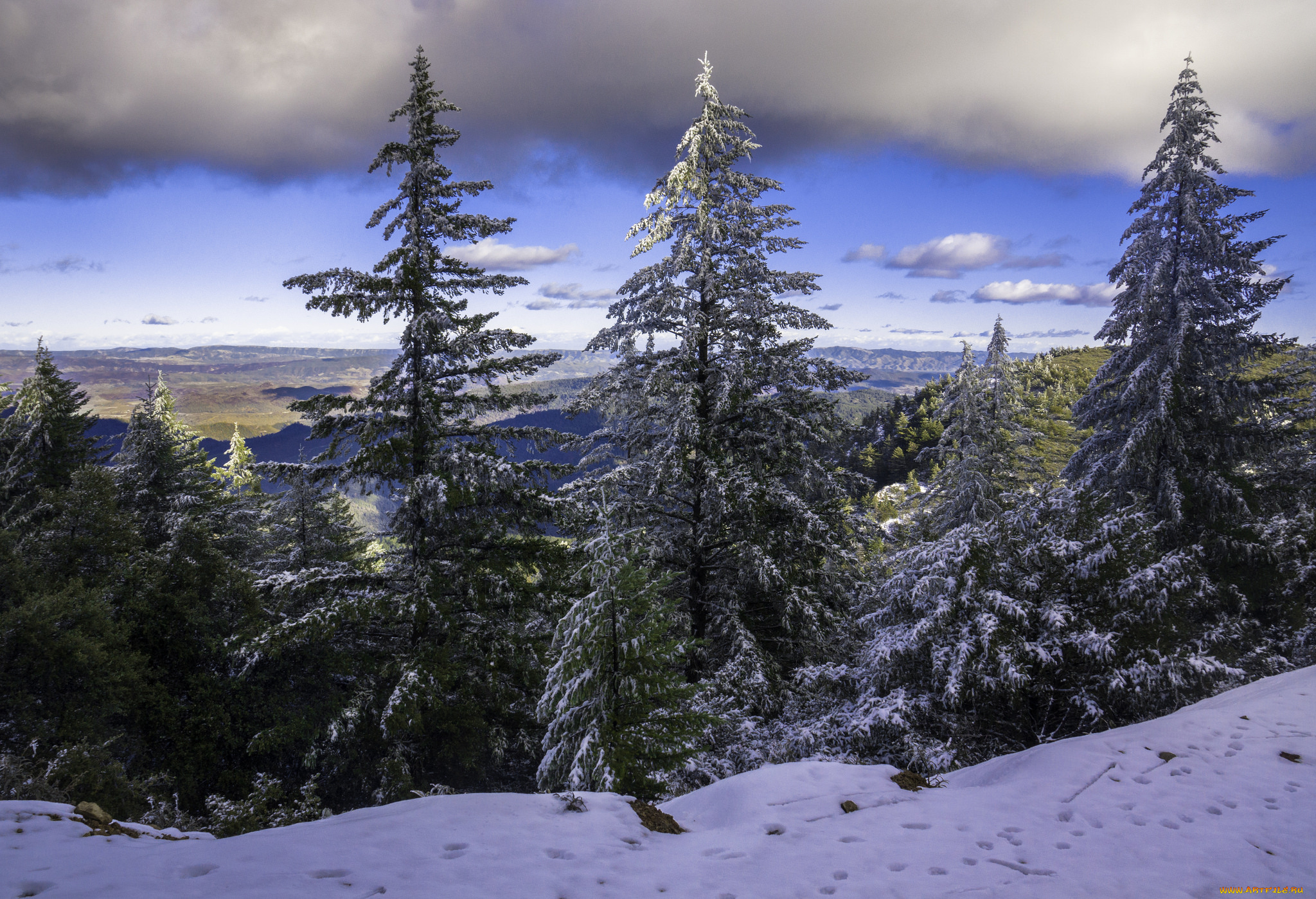 природа, зима, снег