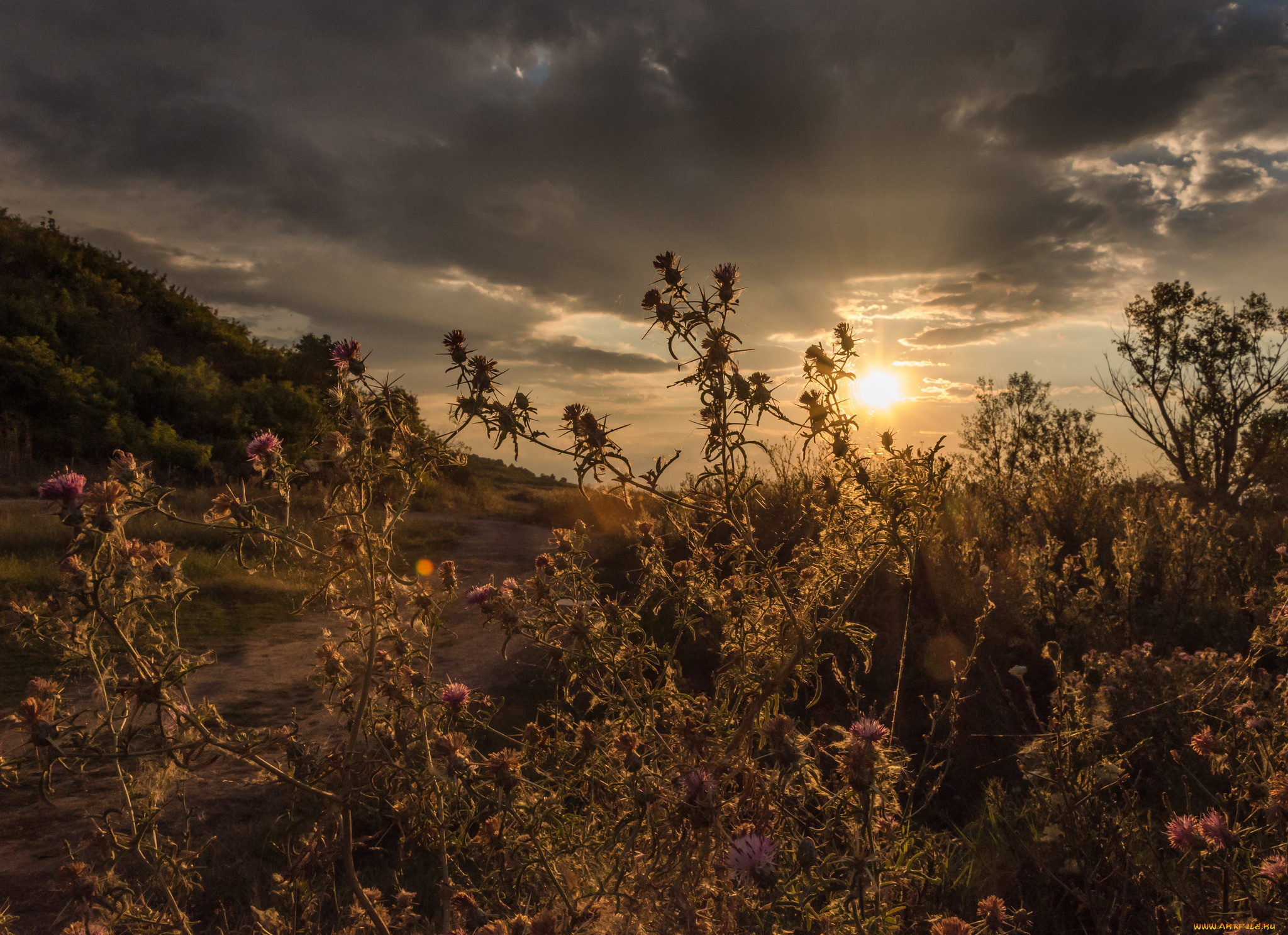 природа, восходы, закаты, рассвет