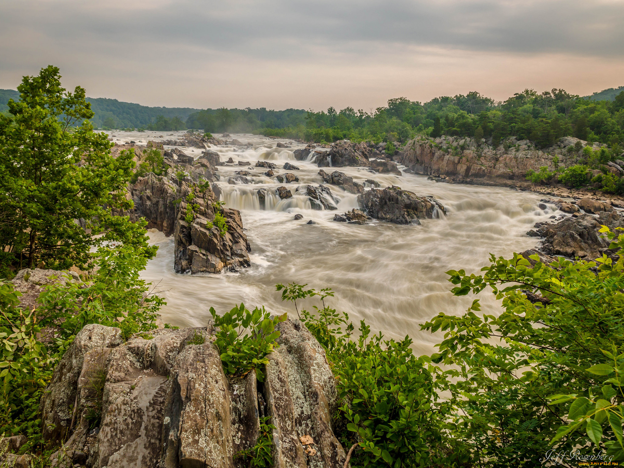 природа, реки, озера, река, лес