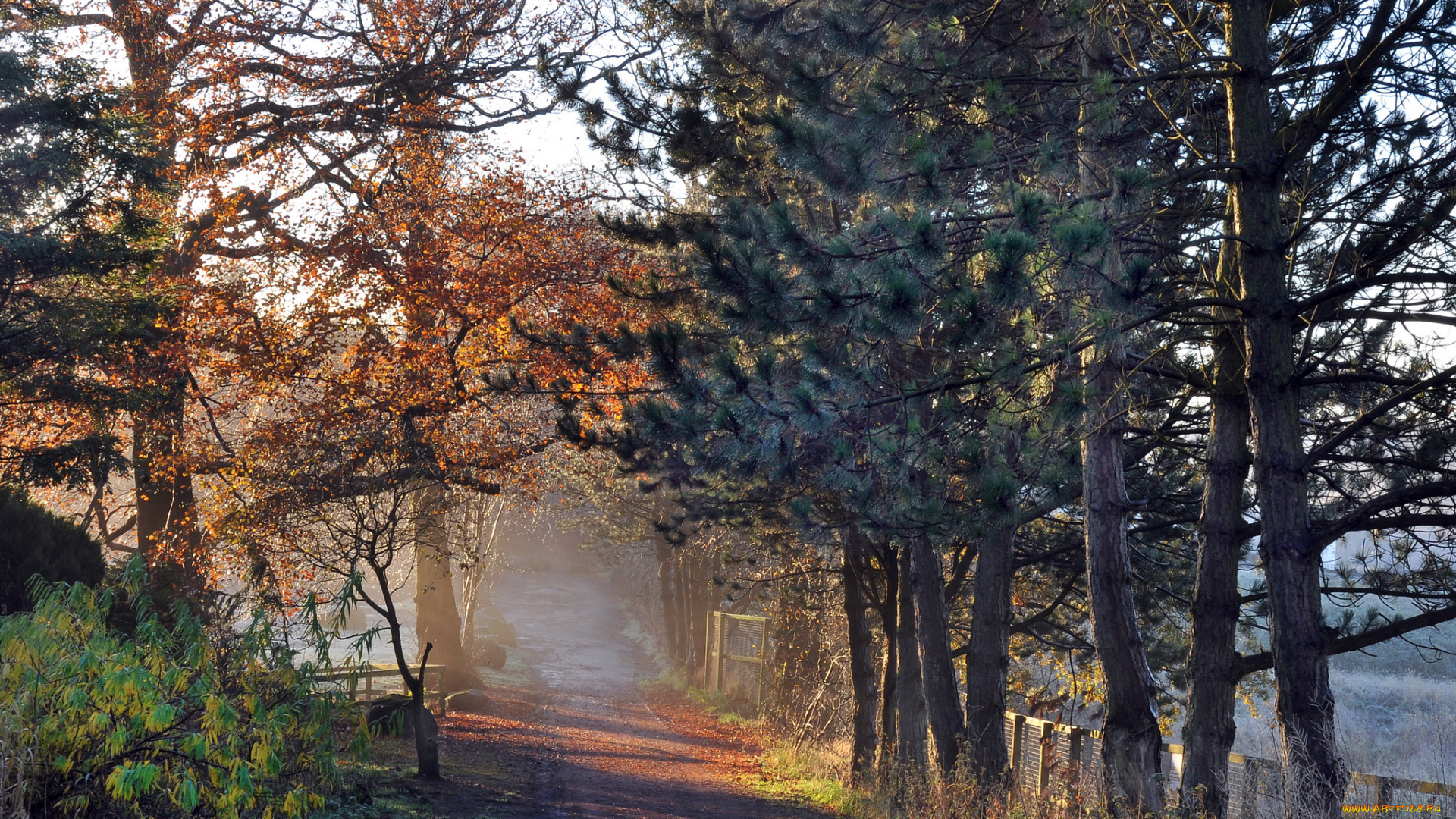 природа, дороги, тракт