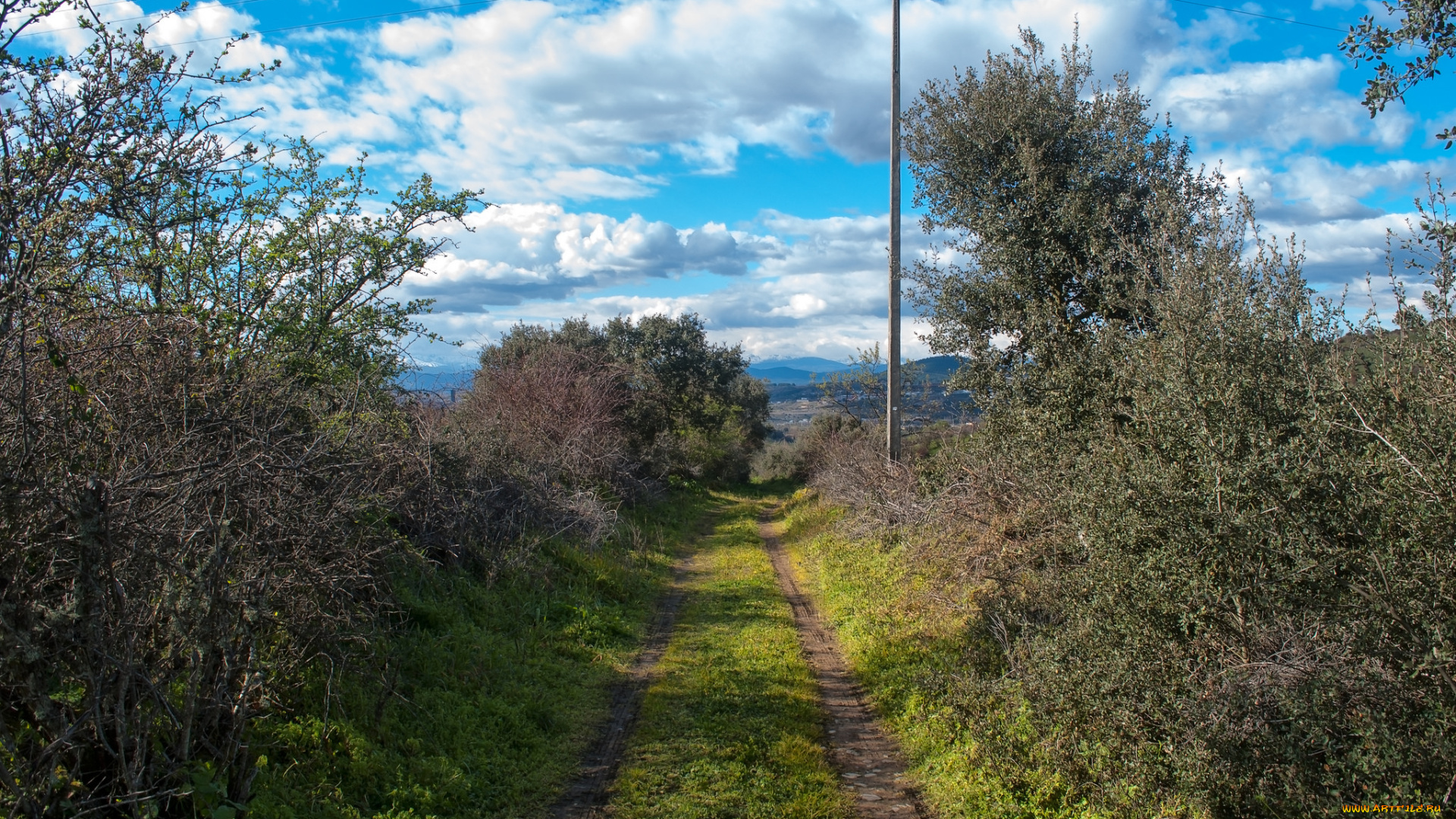 природа, дороги, тракт