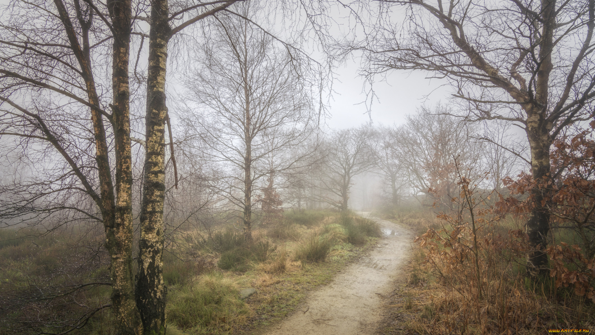 природа, дороги, тракт