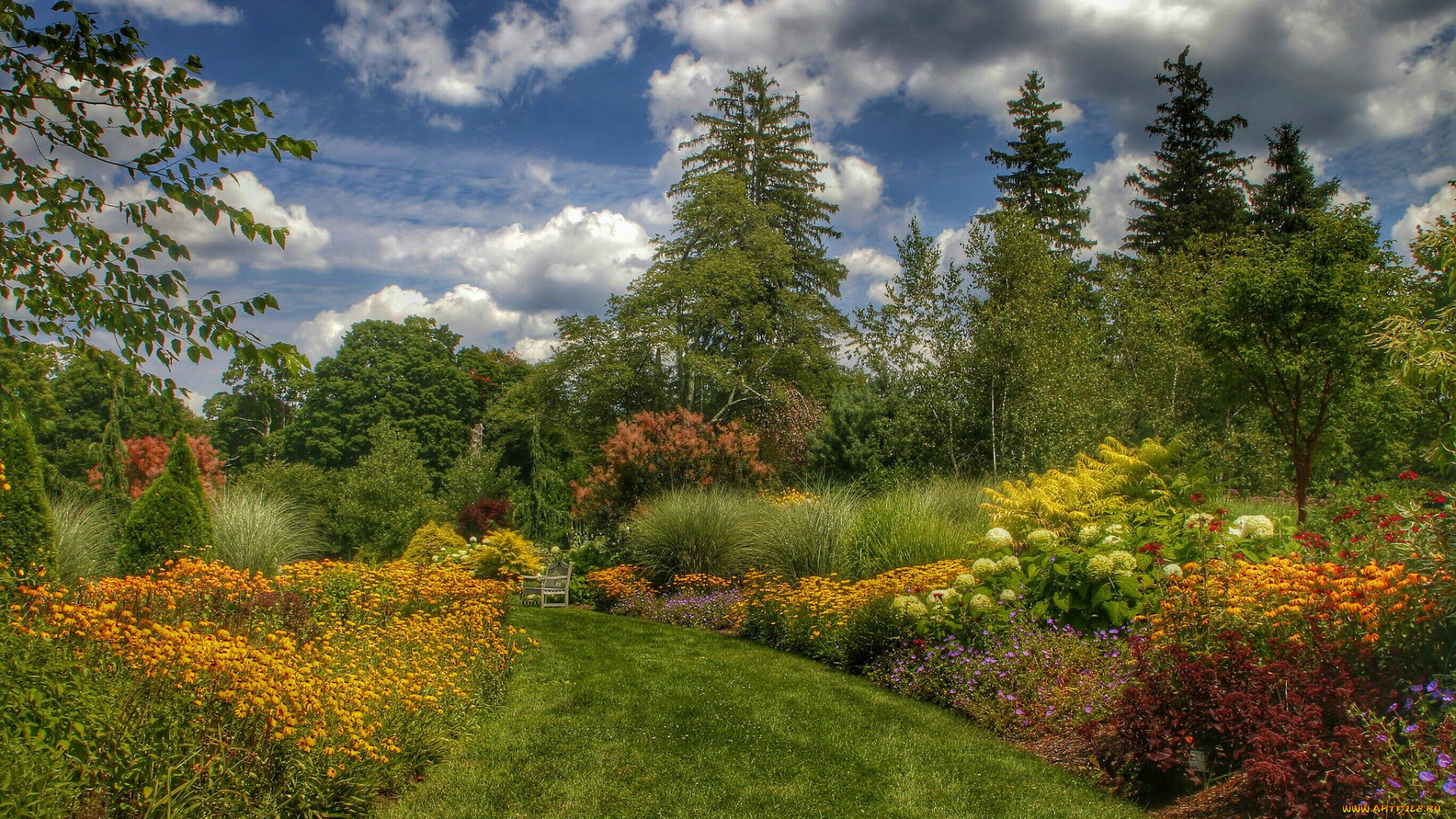 природа, лес, деревья