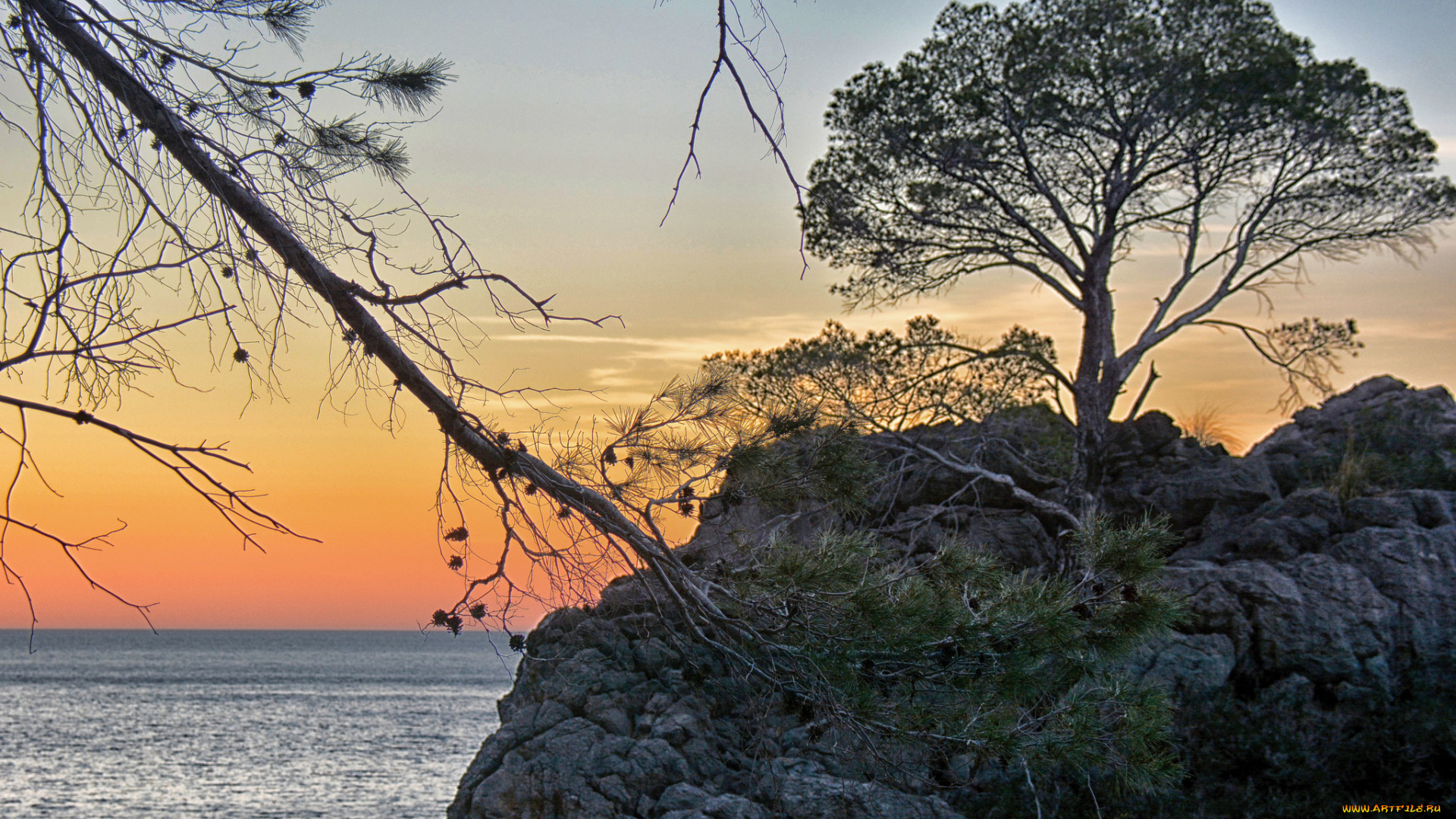 природа, побережье, море, берег