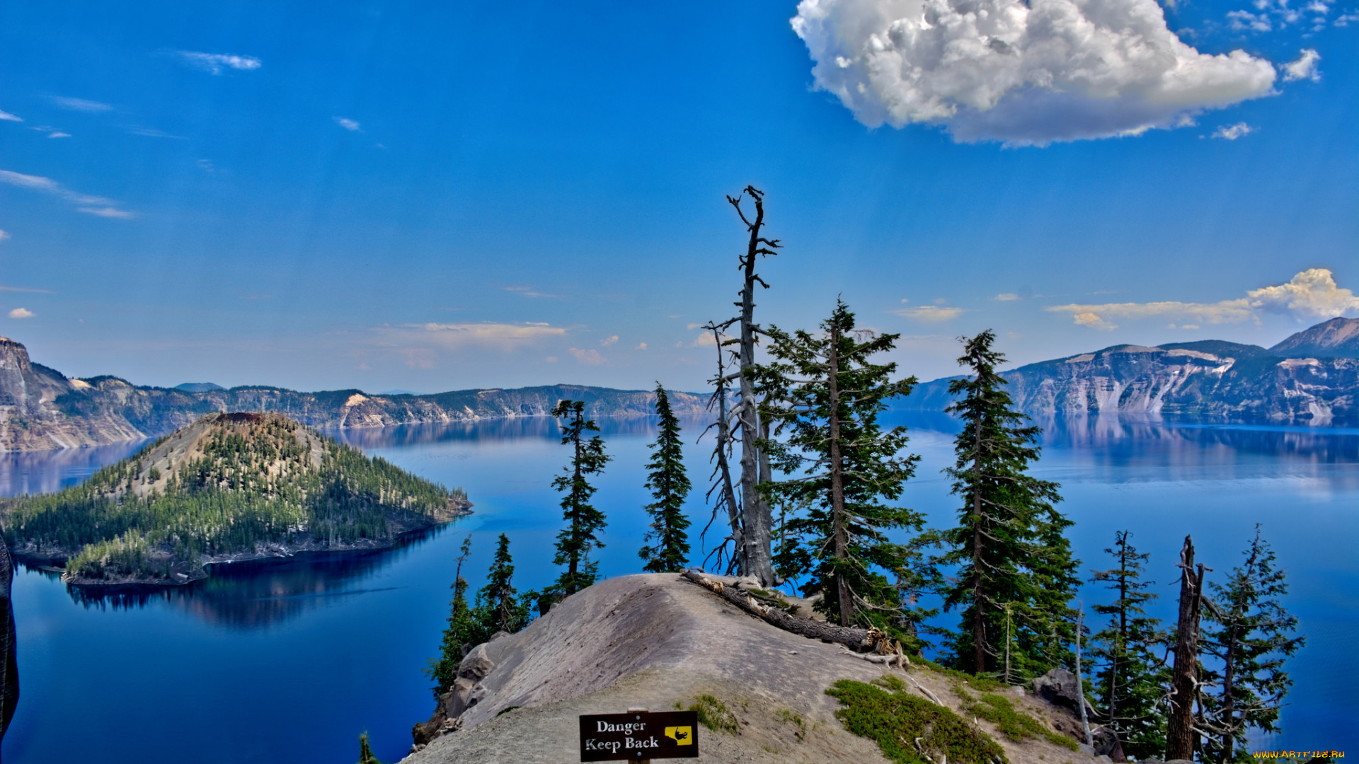 природа, реки, озера, лес, река