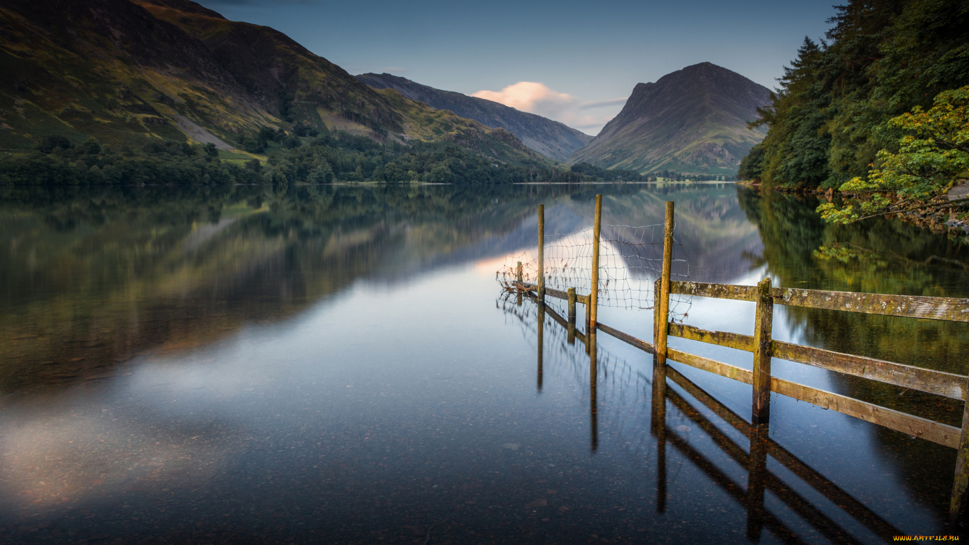 природа, реки, озера, лес, река