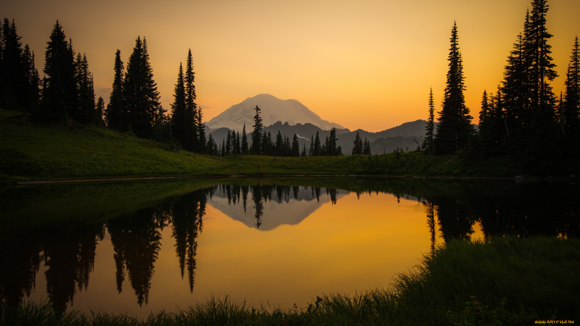 природа, реки, озера, лес, река