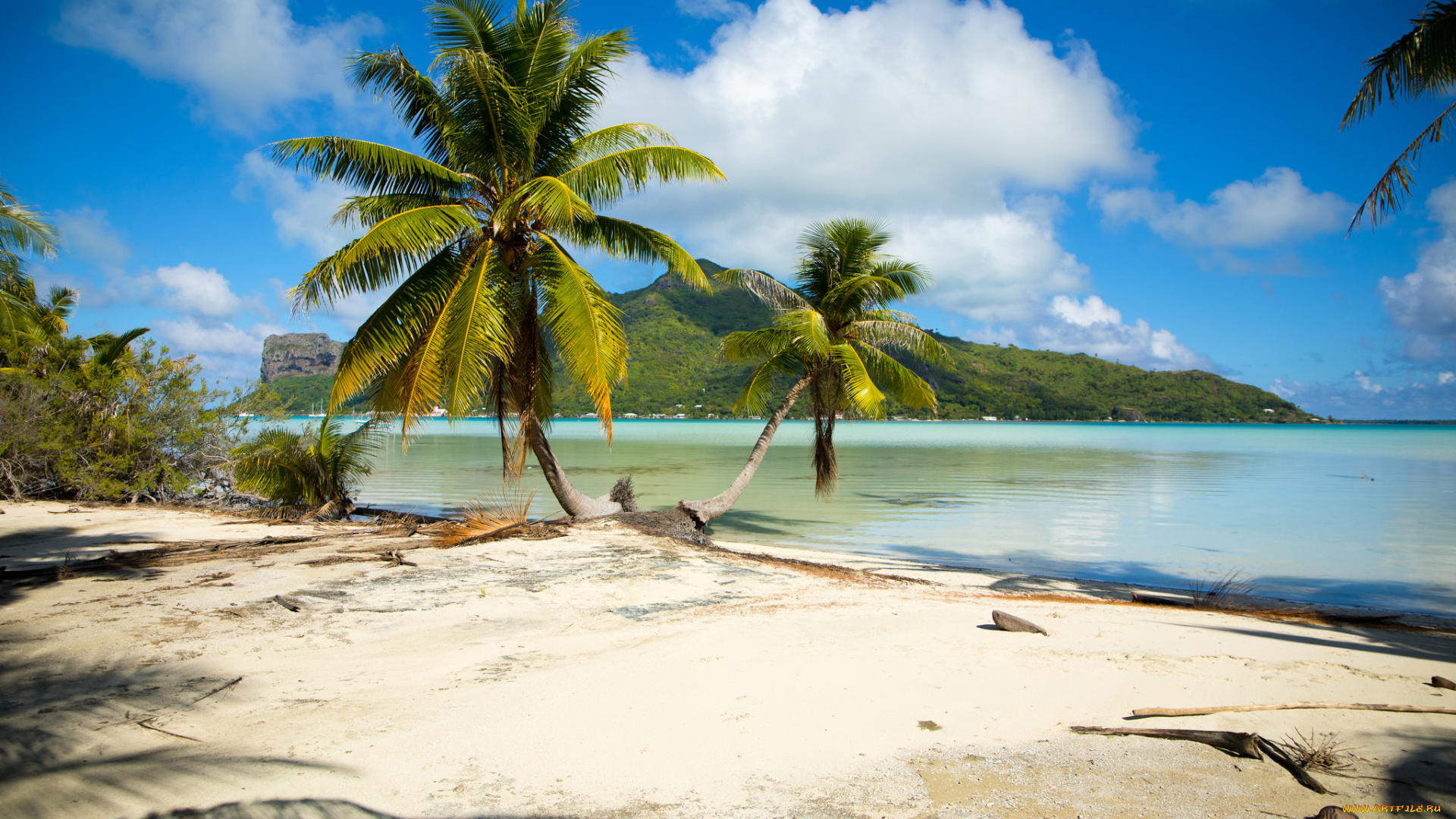 природа, тропики, простор