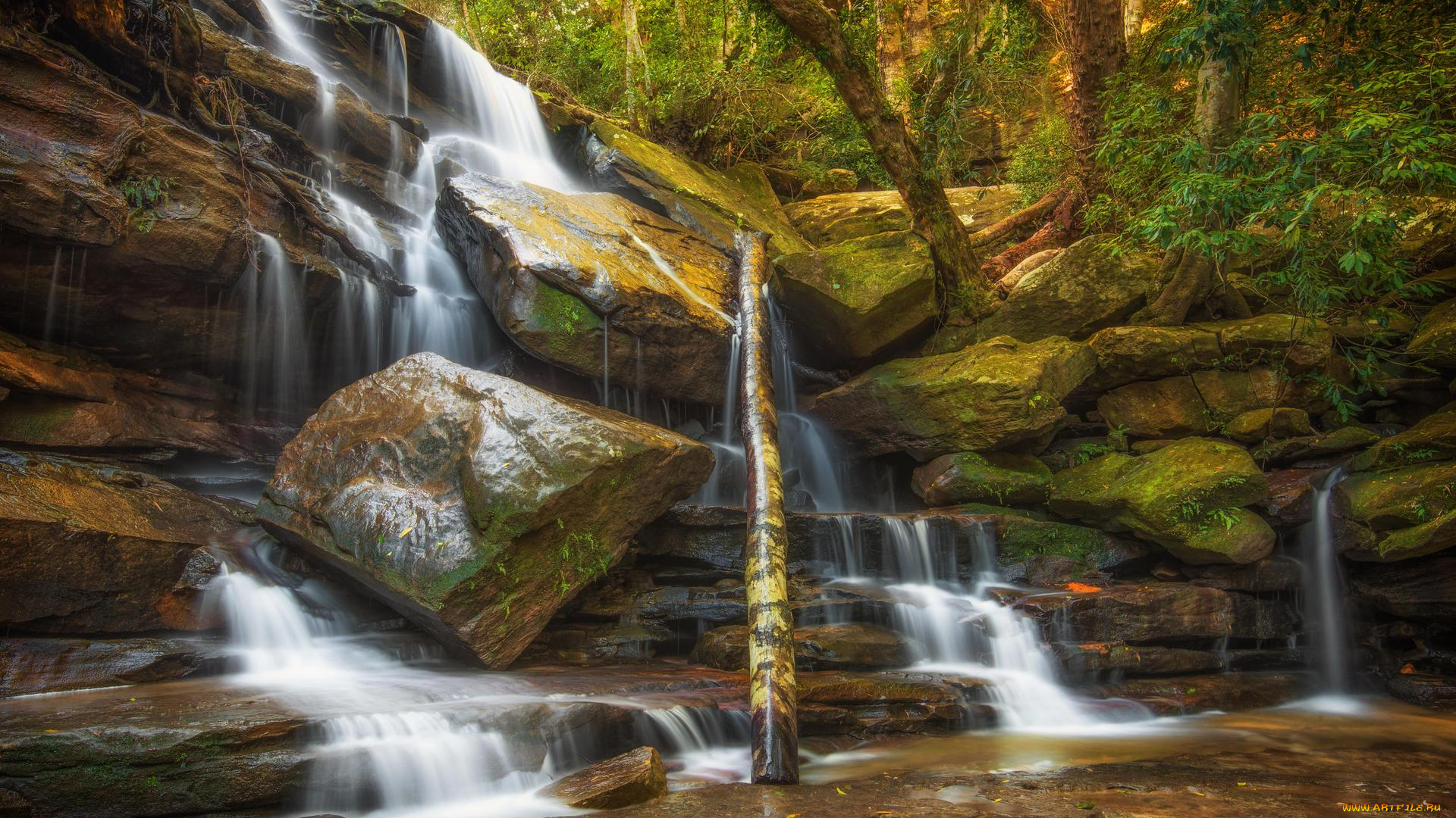 природа, водопады, лес, деревья, скалы, камни, водопад