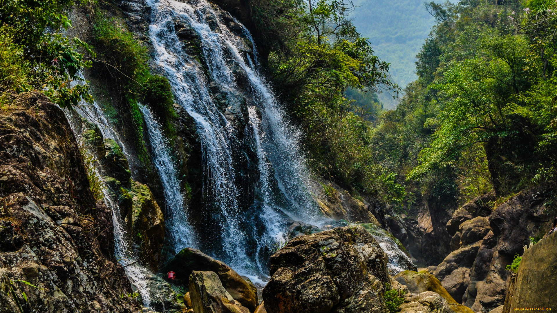 природа, водопады, лес, водопад, река