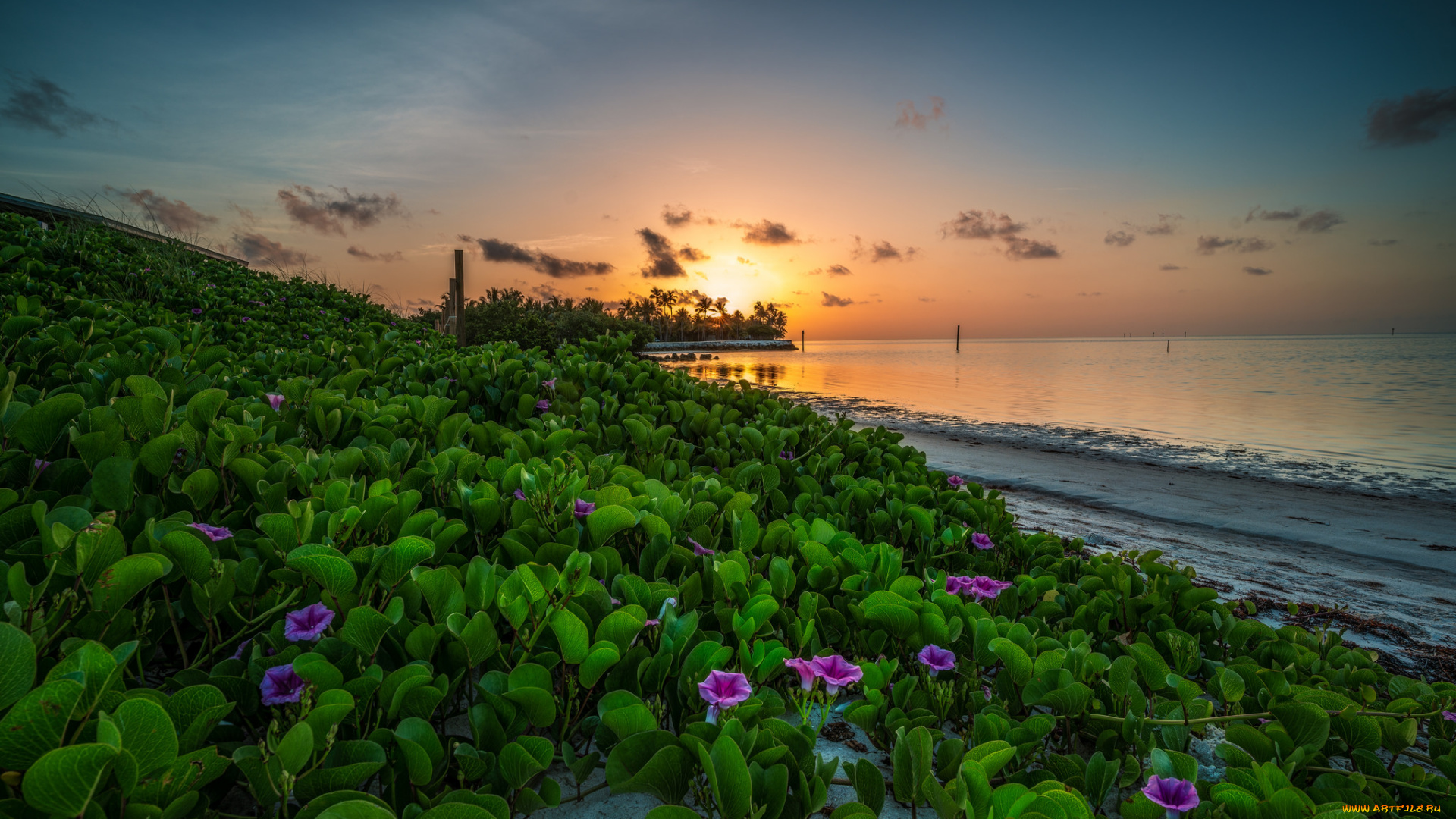 природа, восходы, закаты, рассвет