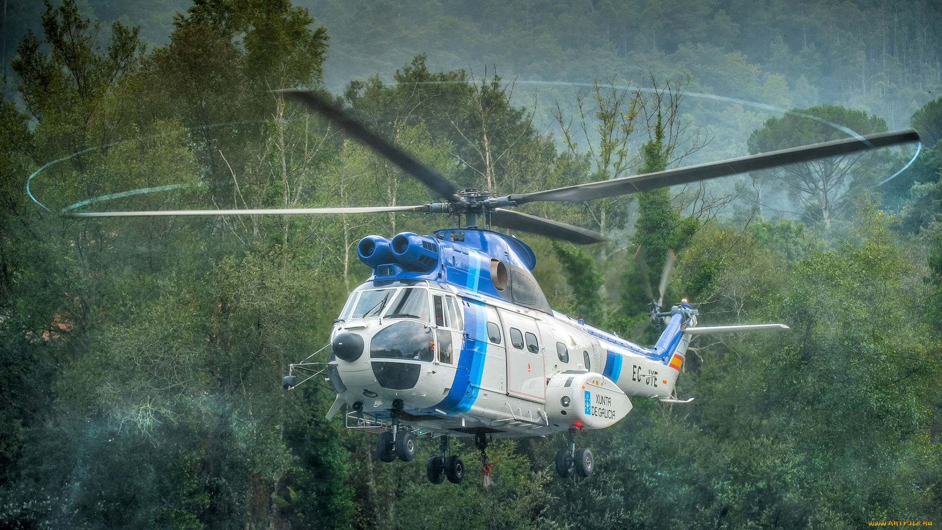 puma, авиация, вертолёты, вертушка