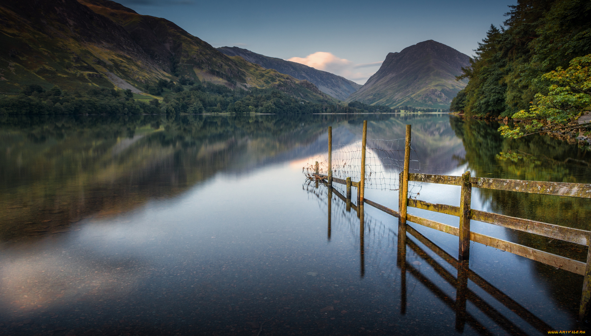 природа, реки, озера, лес, река